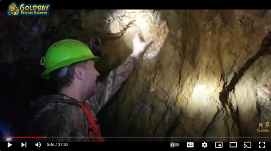 Mining my 2nd favorite piece of crystallized gold ever. Metal detecting and recovery