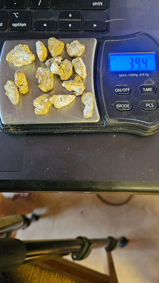 39.4 grams of Nevada gold nuggets. #4 and bigger 90% of spot