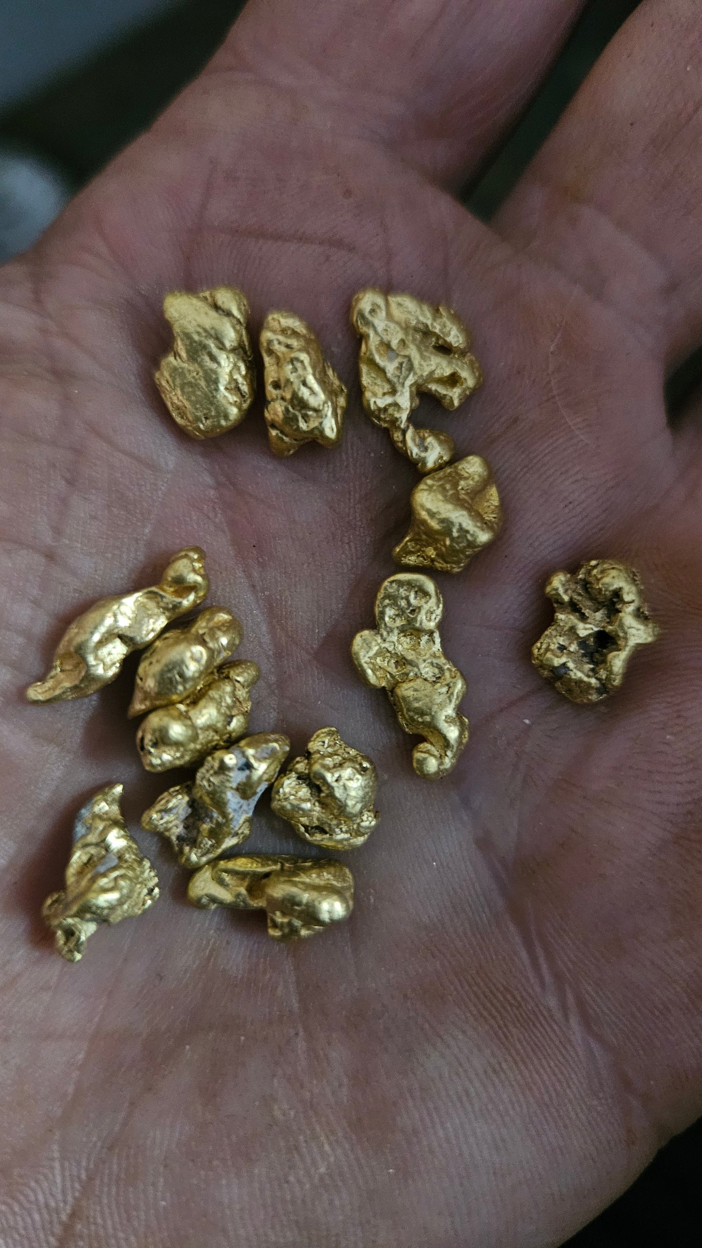 Just over 1 ounce 1-2 gram nuggets Mex lot 2