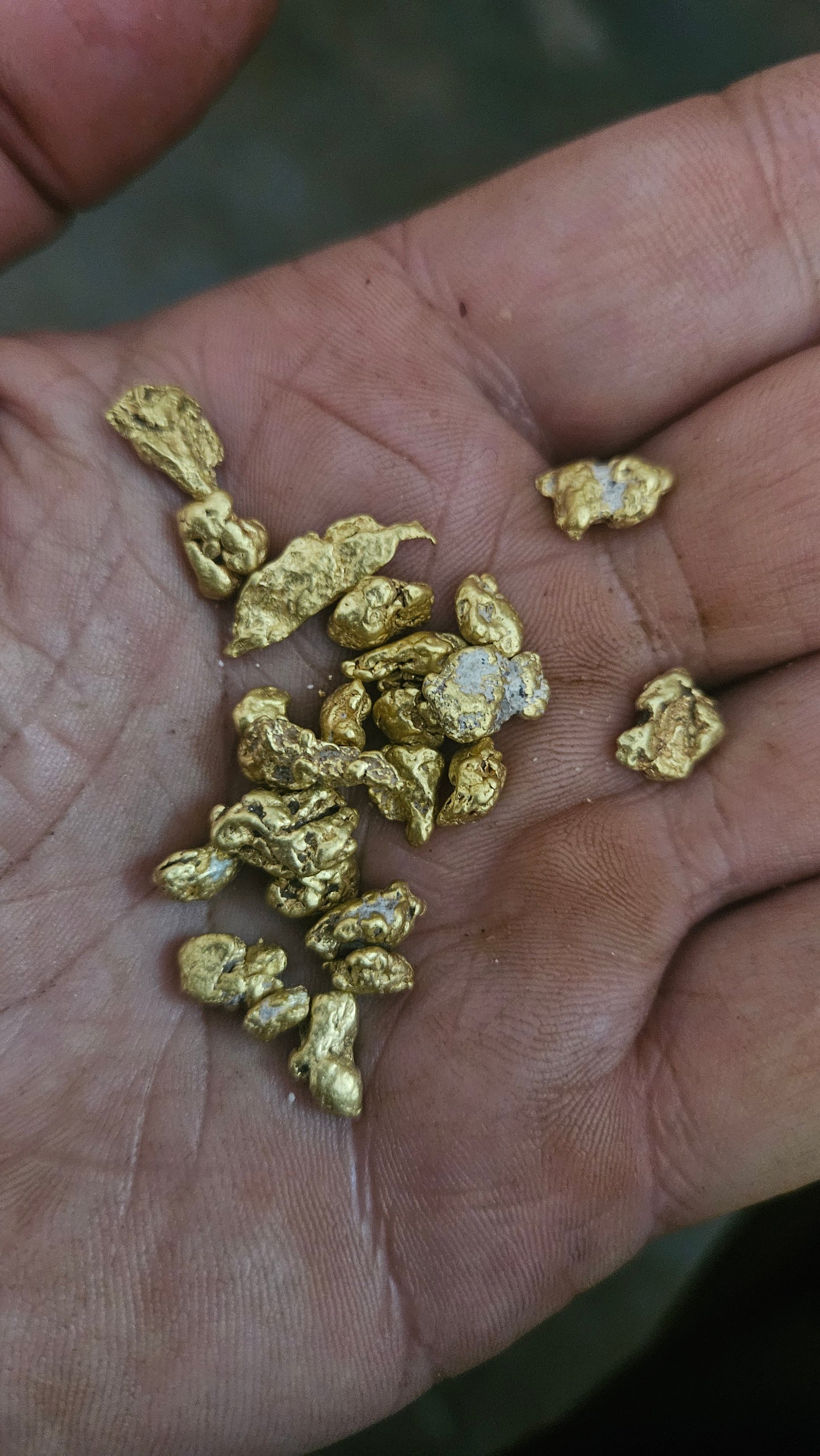 Overstock sale 1 ounce Mexican nuggets #6 and bigger up to 2g - lot 5