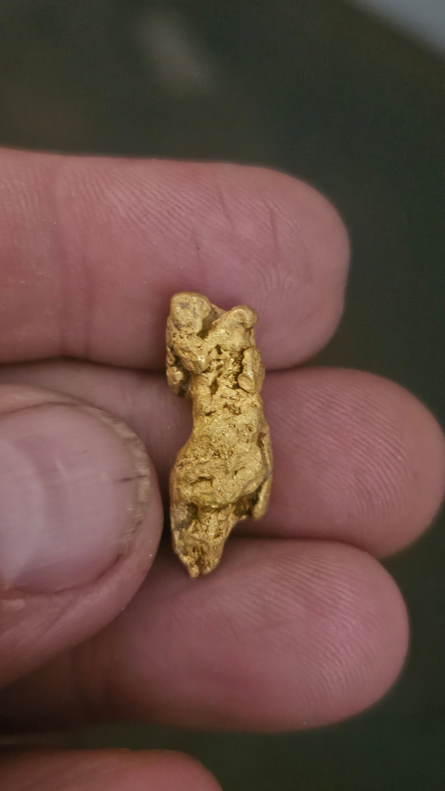 Beautiful gold nugget from Arizona 11.7 grams