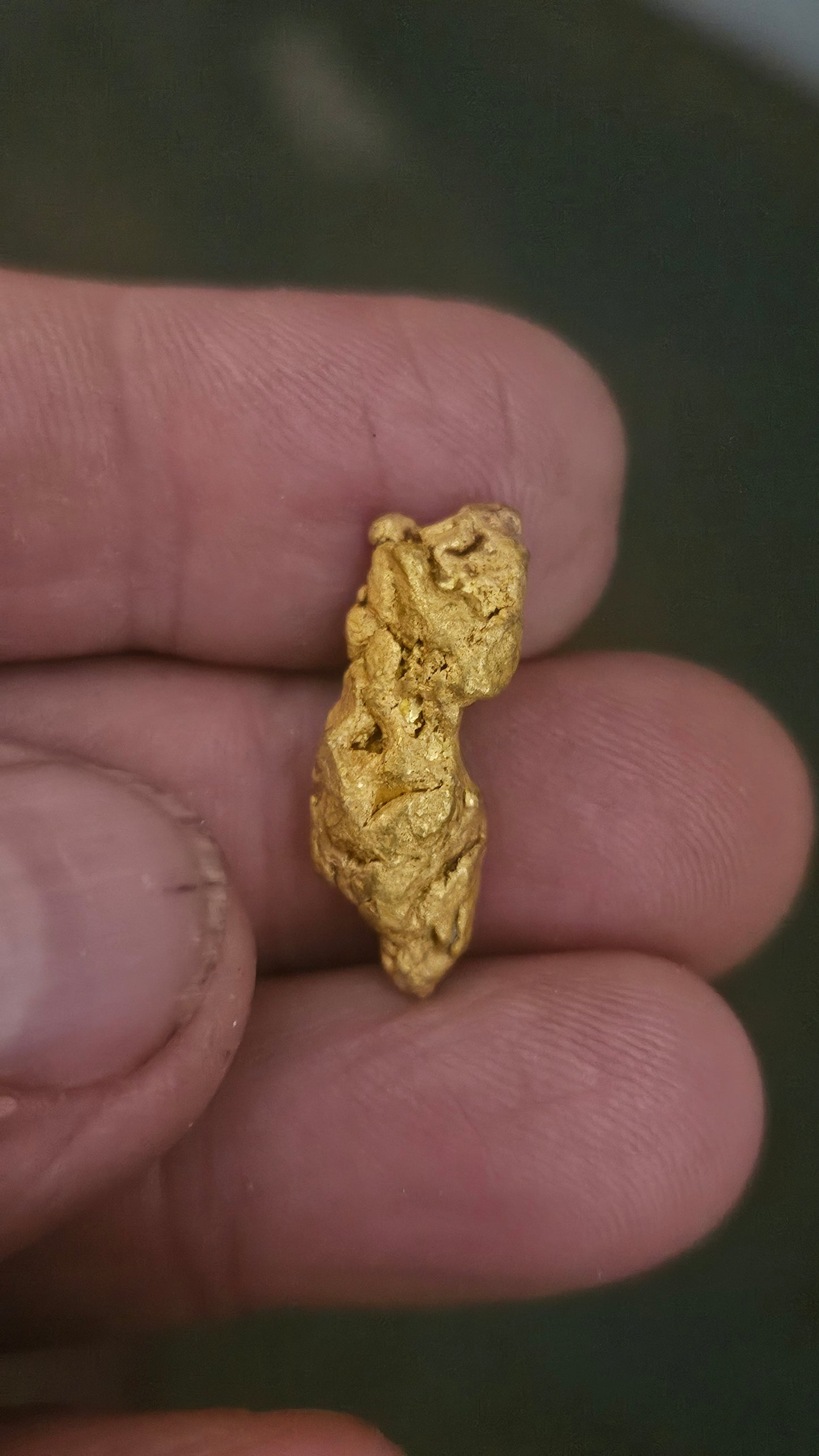 Beautiful gold nugget from Arizona 11.7 grams