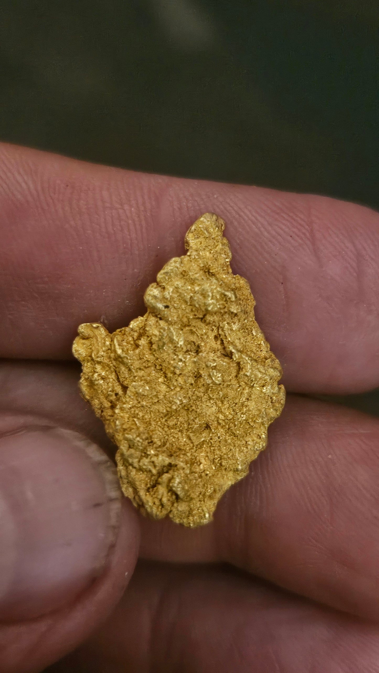 Beautiful gold nugget from Arizona 13.3 grams