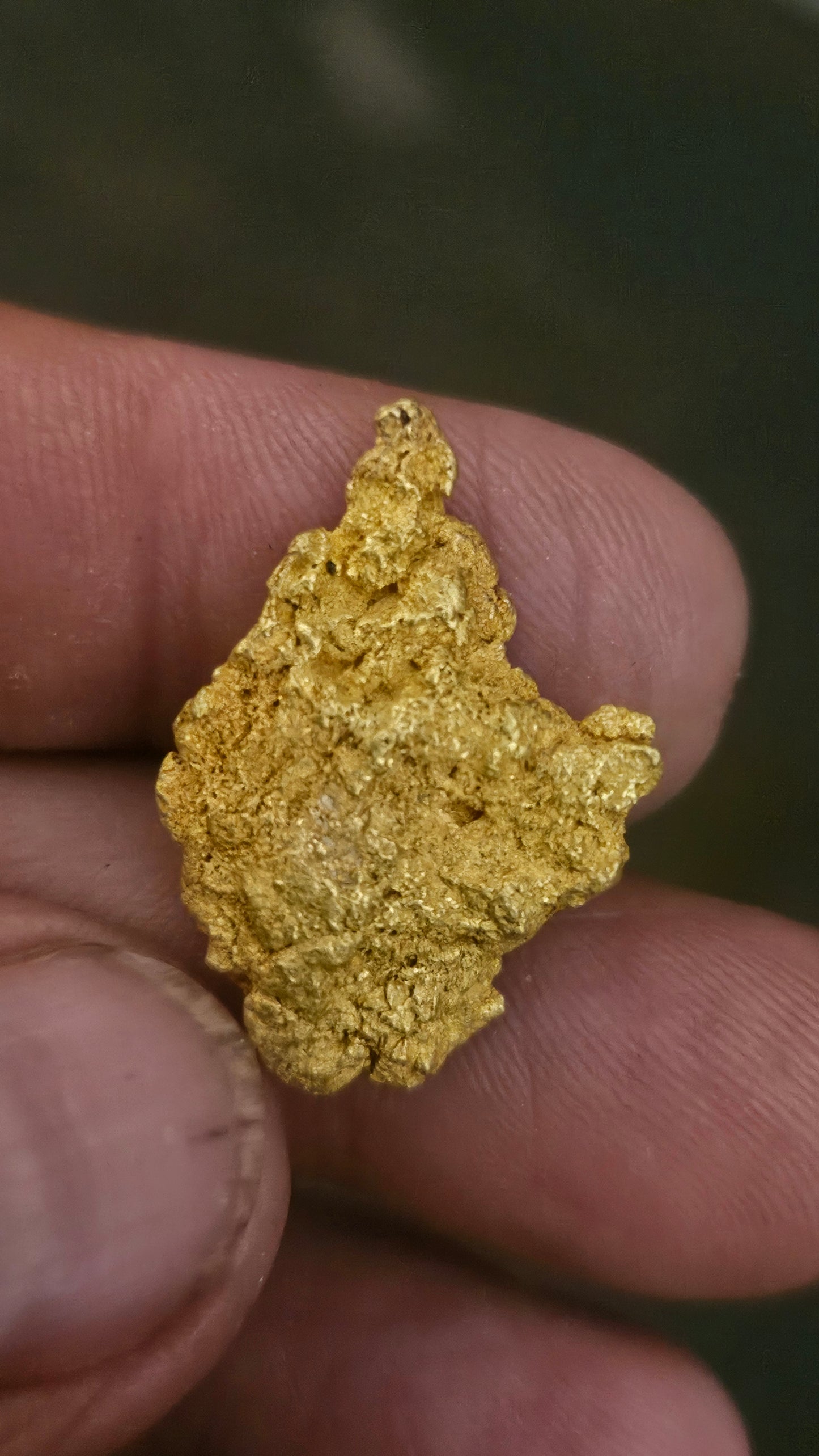 Beautiful gold nugget from Arizona 13.3 grams