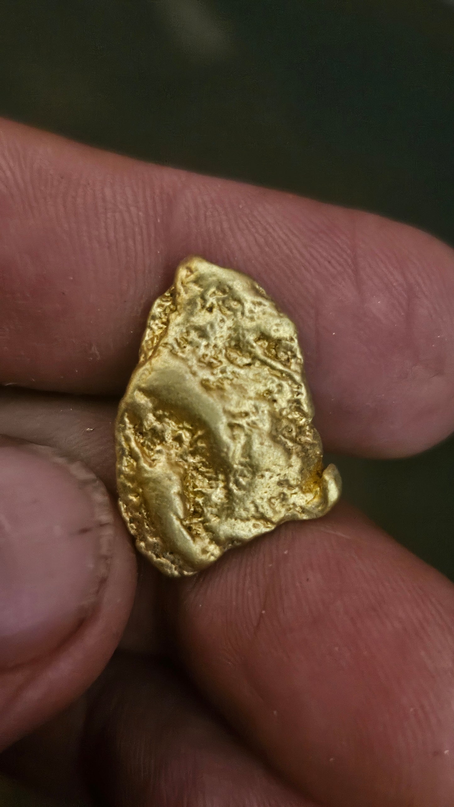 8.8 gram Mexican gold nugget