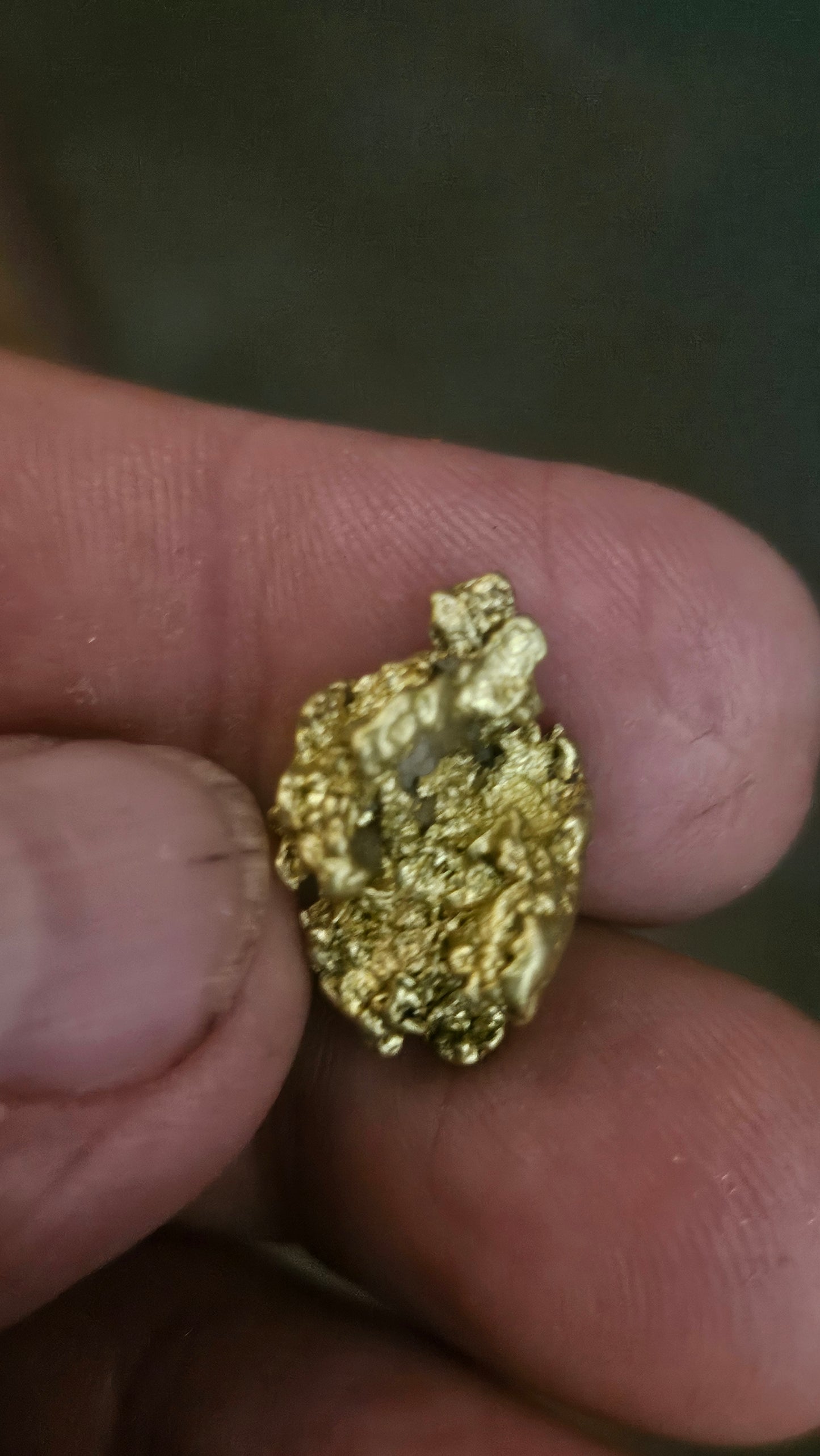 Chunky coarse 8.78 gram Mexican gold nugget
