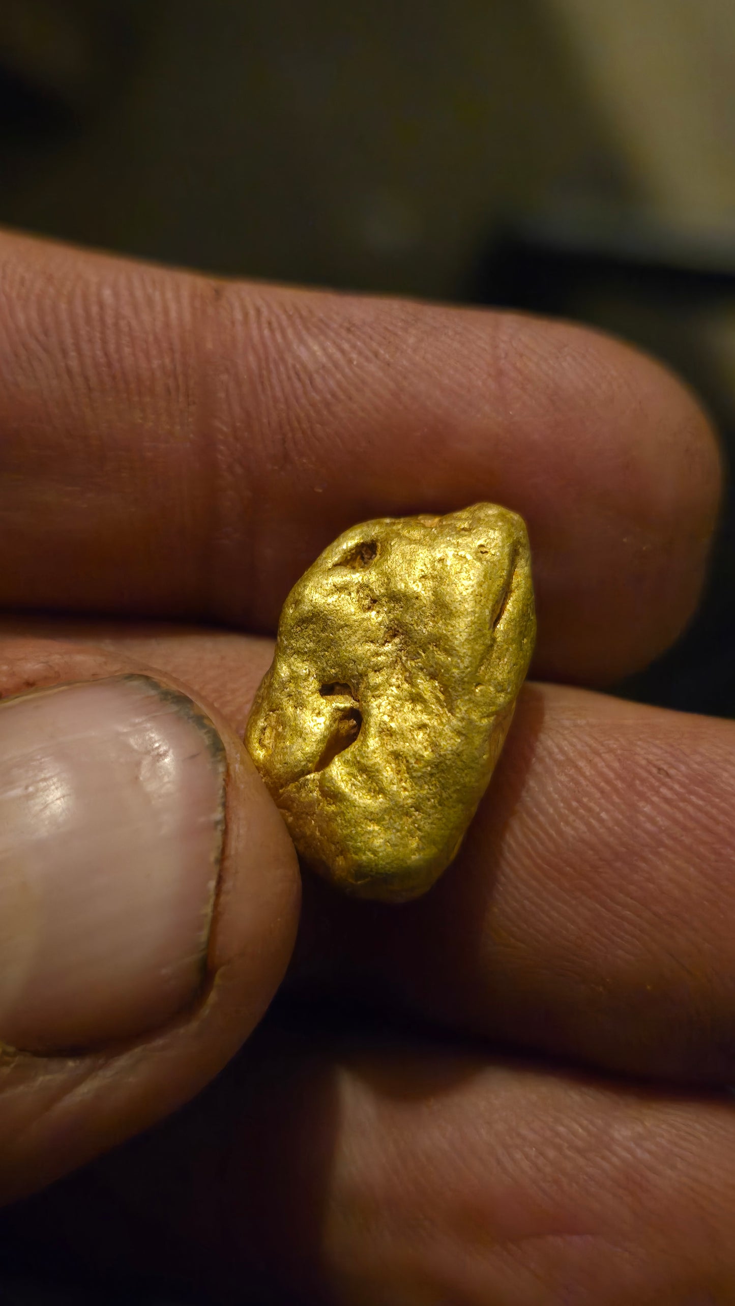 HIgh purity Mexican Gold nugget - 16.76 grams