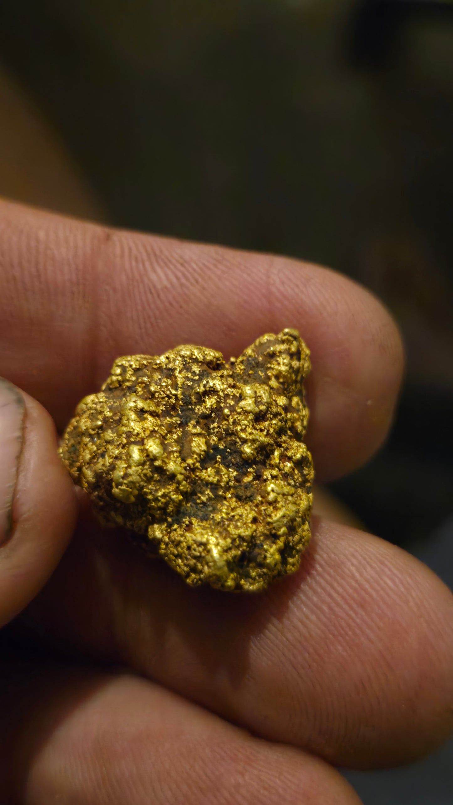 HIgh purity Mexican Gold nugget - 17.48 grams