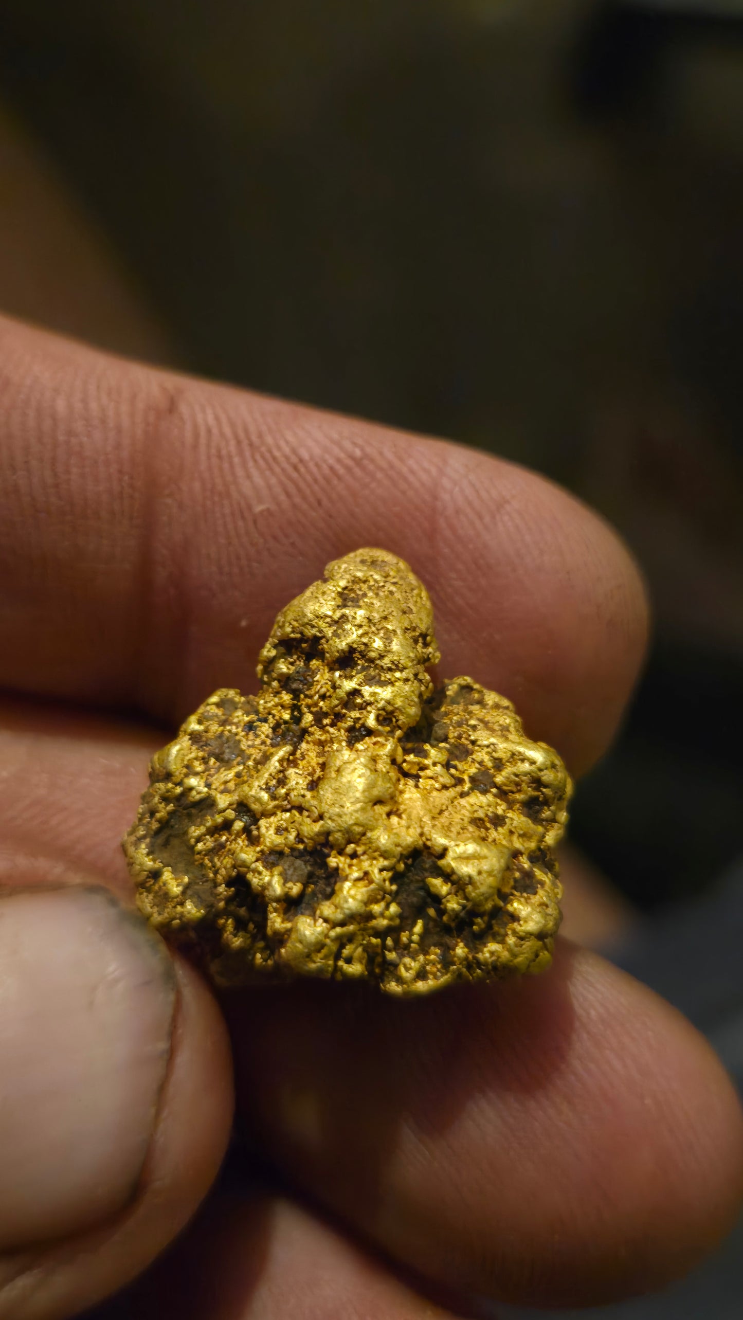 HIgh purity Mexican Gold nugget - 17.48 grams