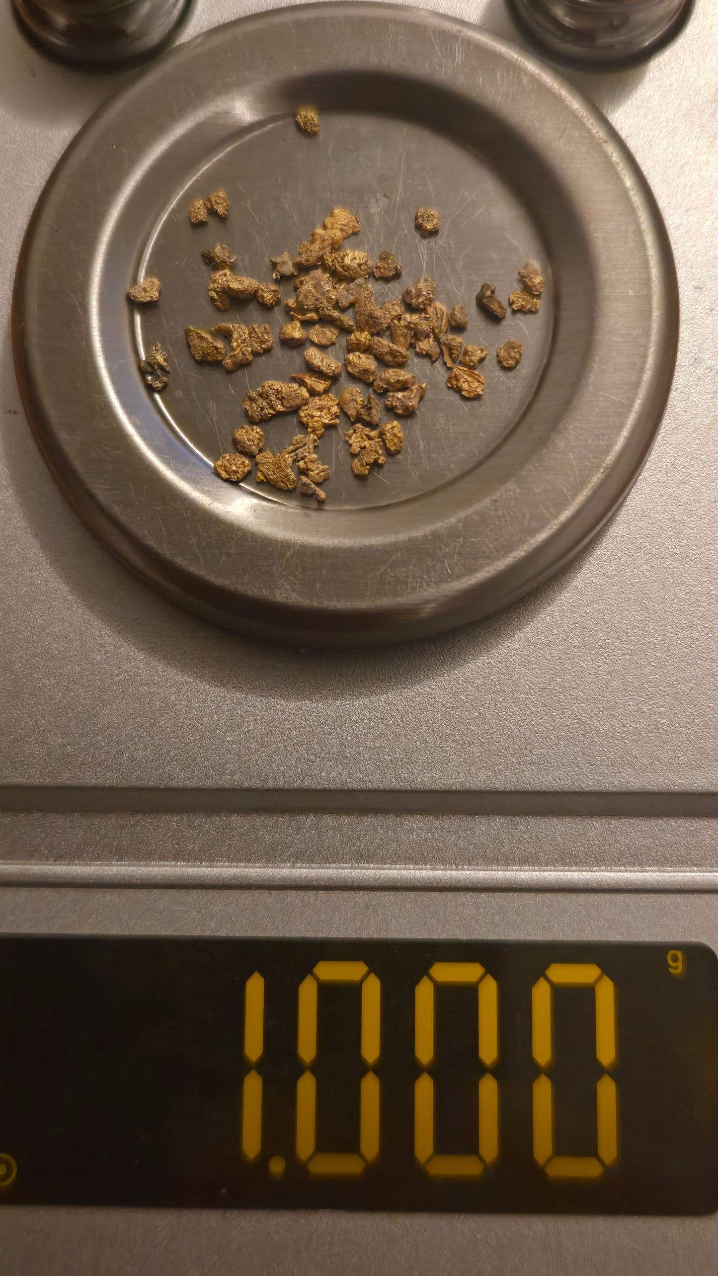 My First Gold Panning Kit: Unforgettable Adventure 1 pound Paydirt Bag for Kids