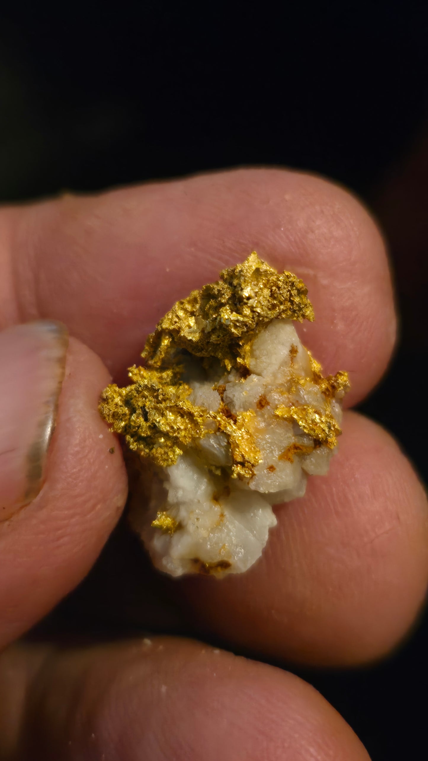 Self collected 6.27 grams gold and quartz from Californias Motherlode Vein