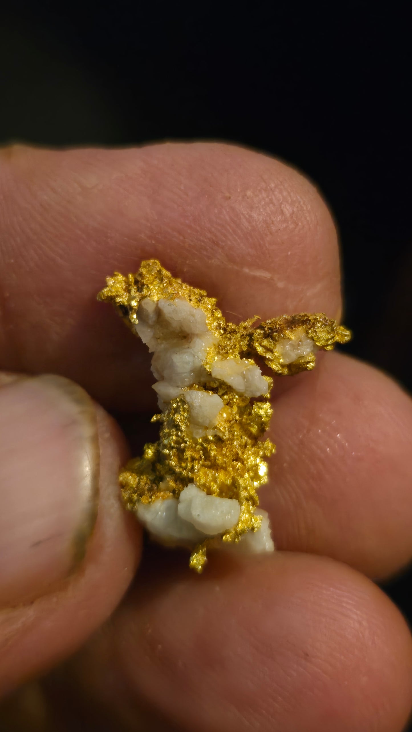 Self collected 6.05 grams gold and quartz from Californias Motherlode Vein