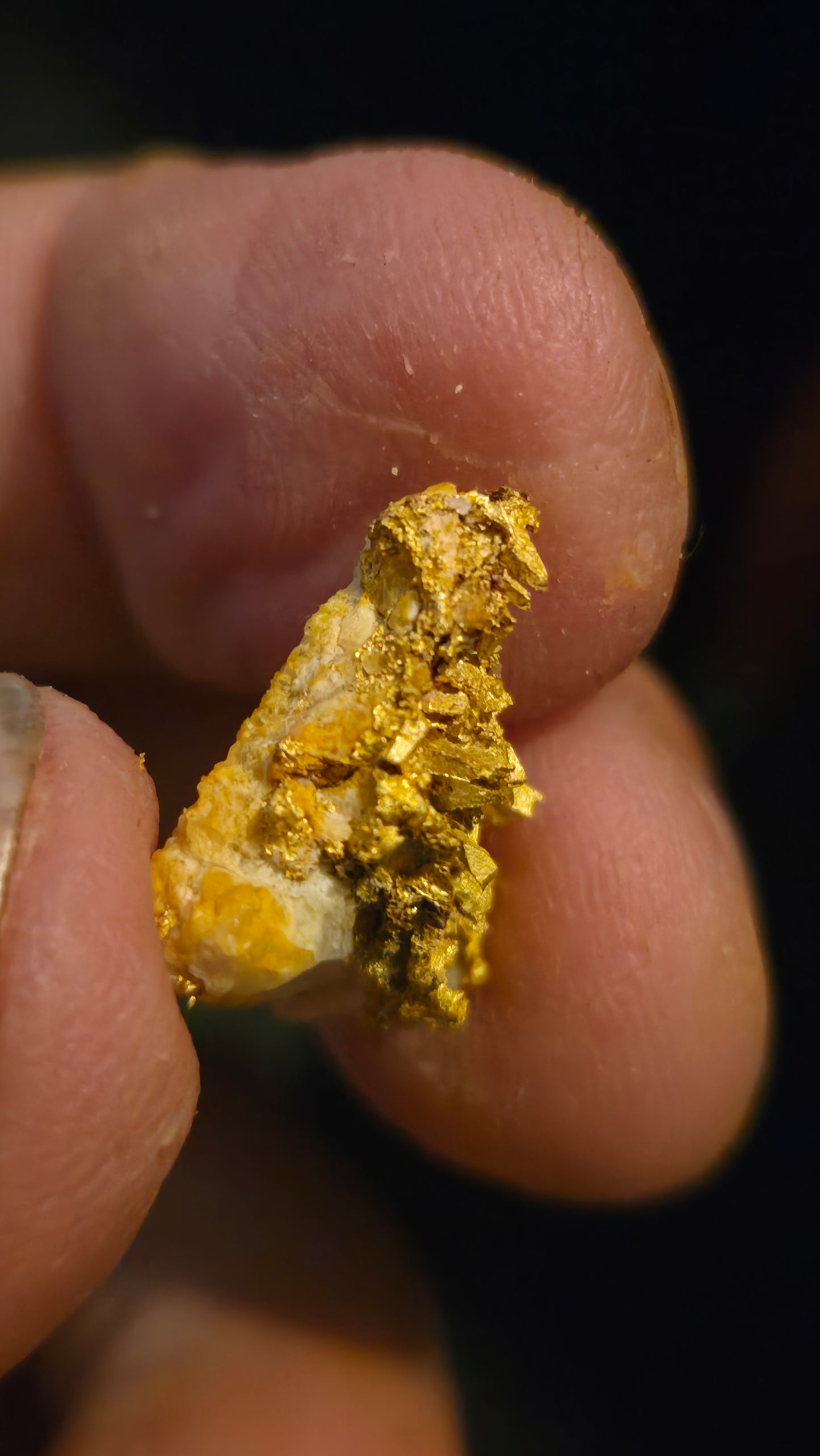 Self collected 3.01 grams gold and quartz from Californias Motherlode Vein