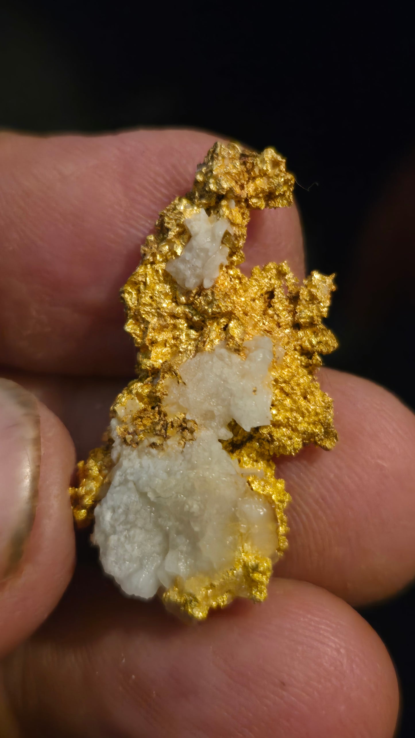Self collected 12.41 grams gold and quartz from Californias Motherlode Vein
