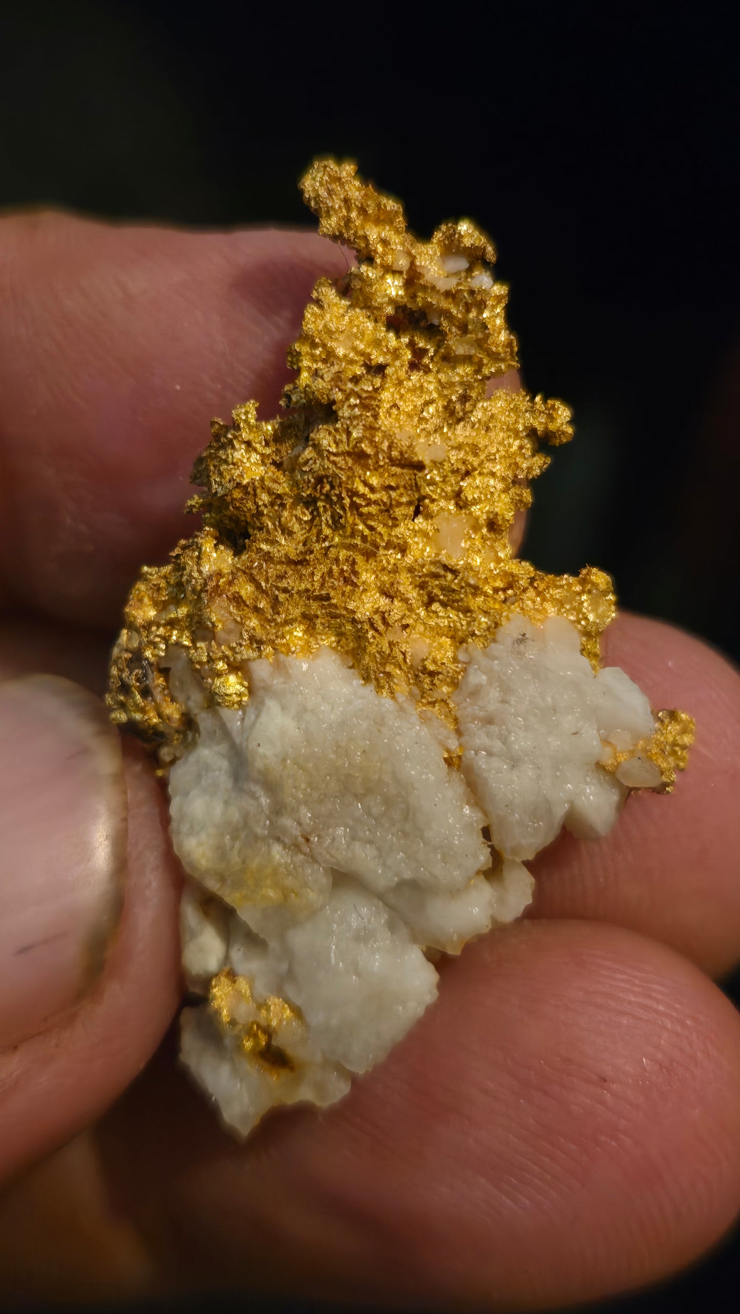 Self collected 18.44 grams gold and quartz from Californias Motherlode Vein