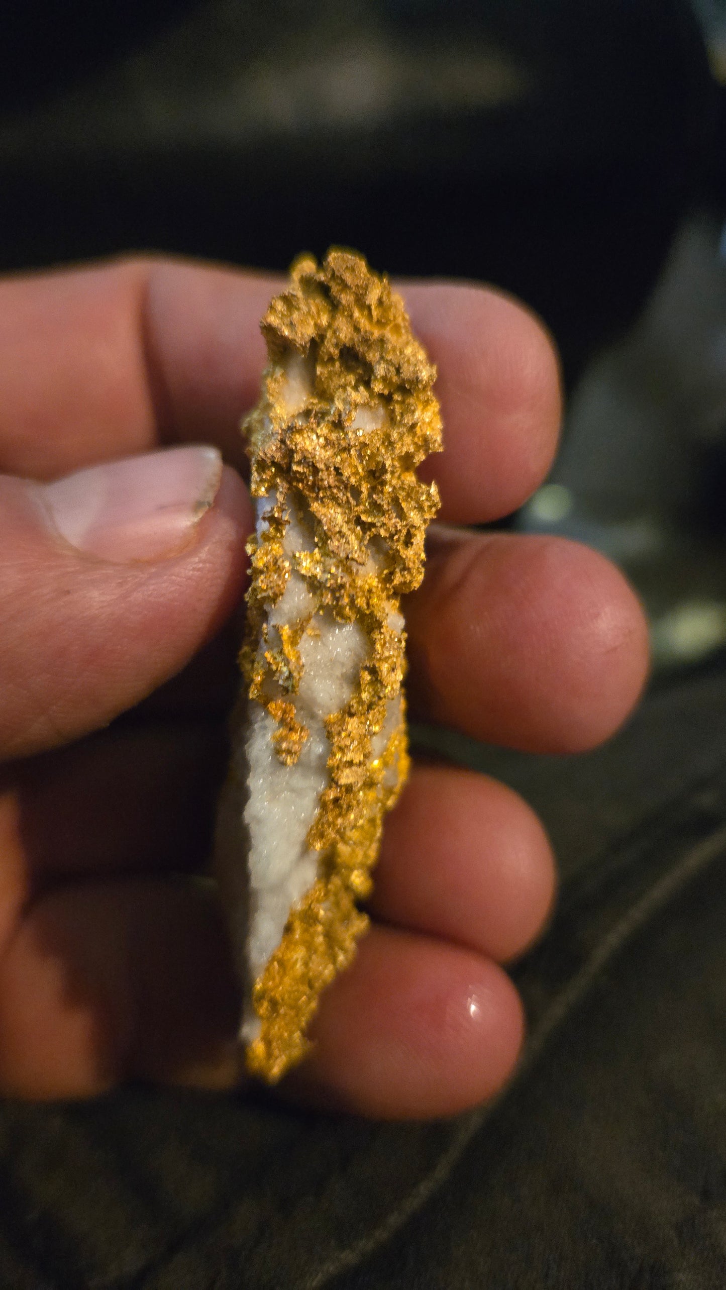 Self collected 76.32 grams gold and quartz from Californias Motherlode Vein