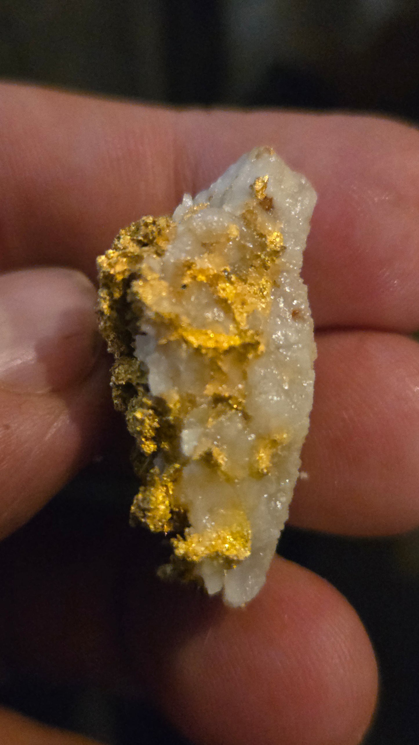Self collected 21.77 grams gold and quartz from Californias Motherlode Vein