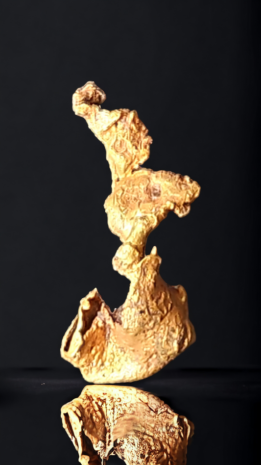 3.49 gram Álamos Mexico leaf gold specimen. Rare