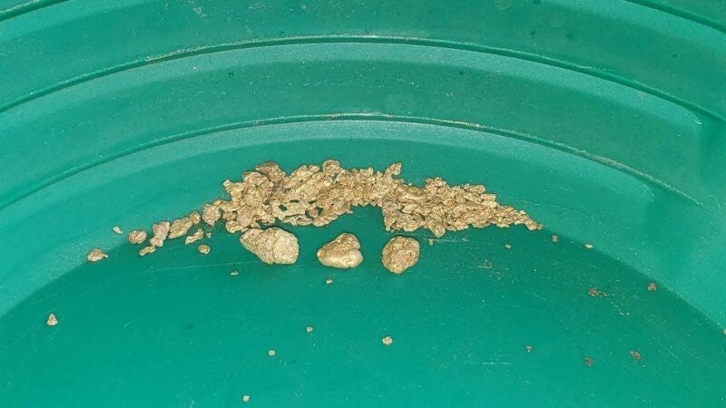 Unleash the Prospector: 14 Pounds of Golden Potential - 15 grams!