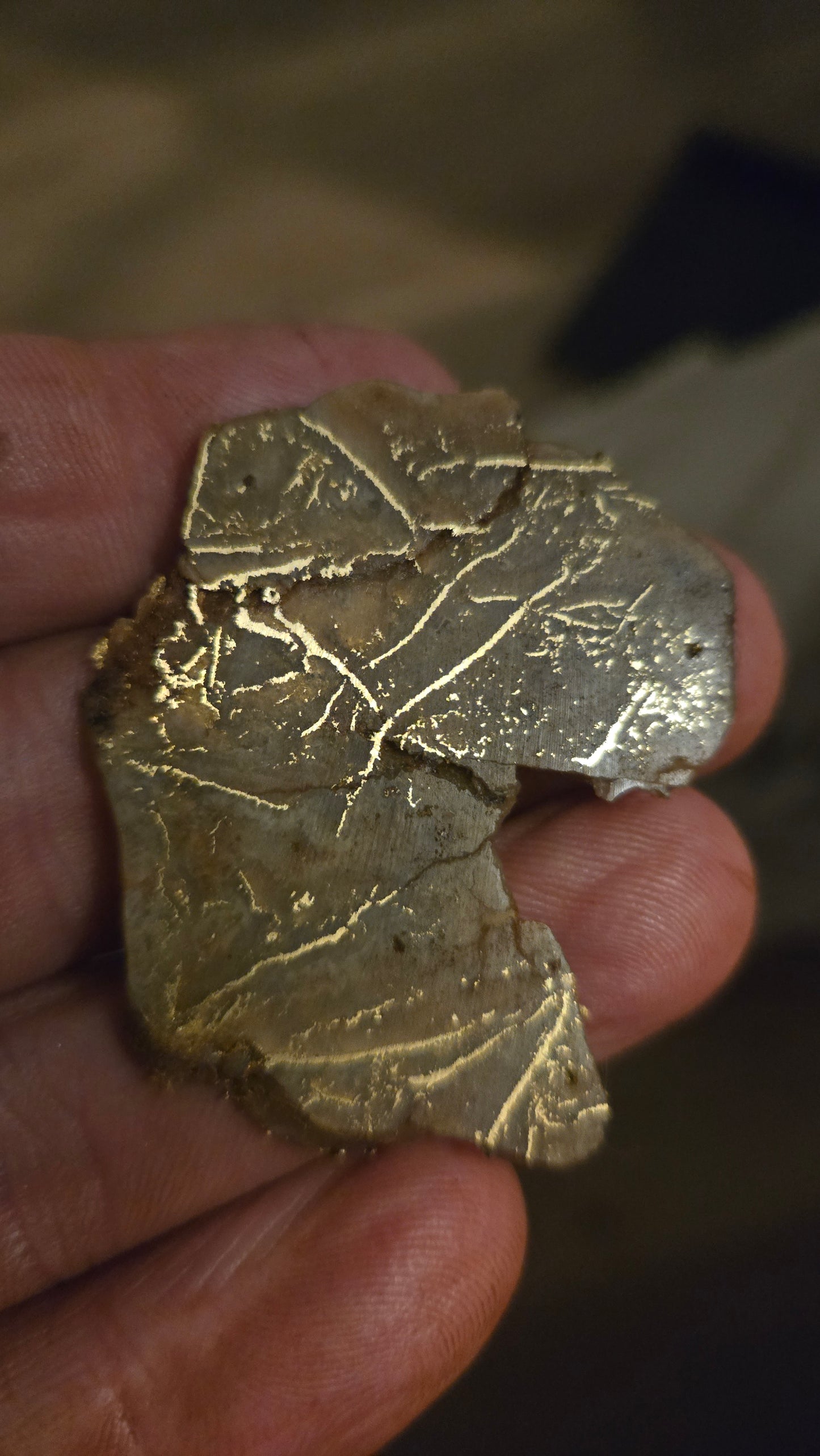 Insane pattern on this Oregon gold and quartz slab - 10.42 grams