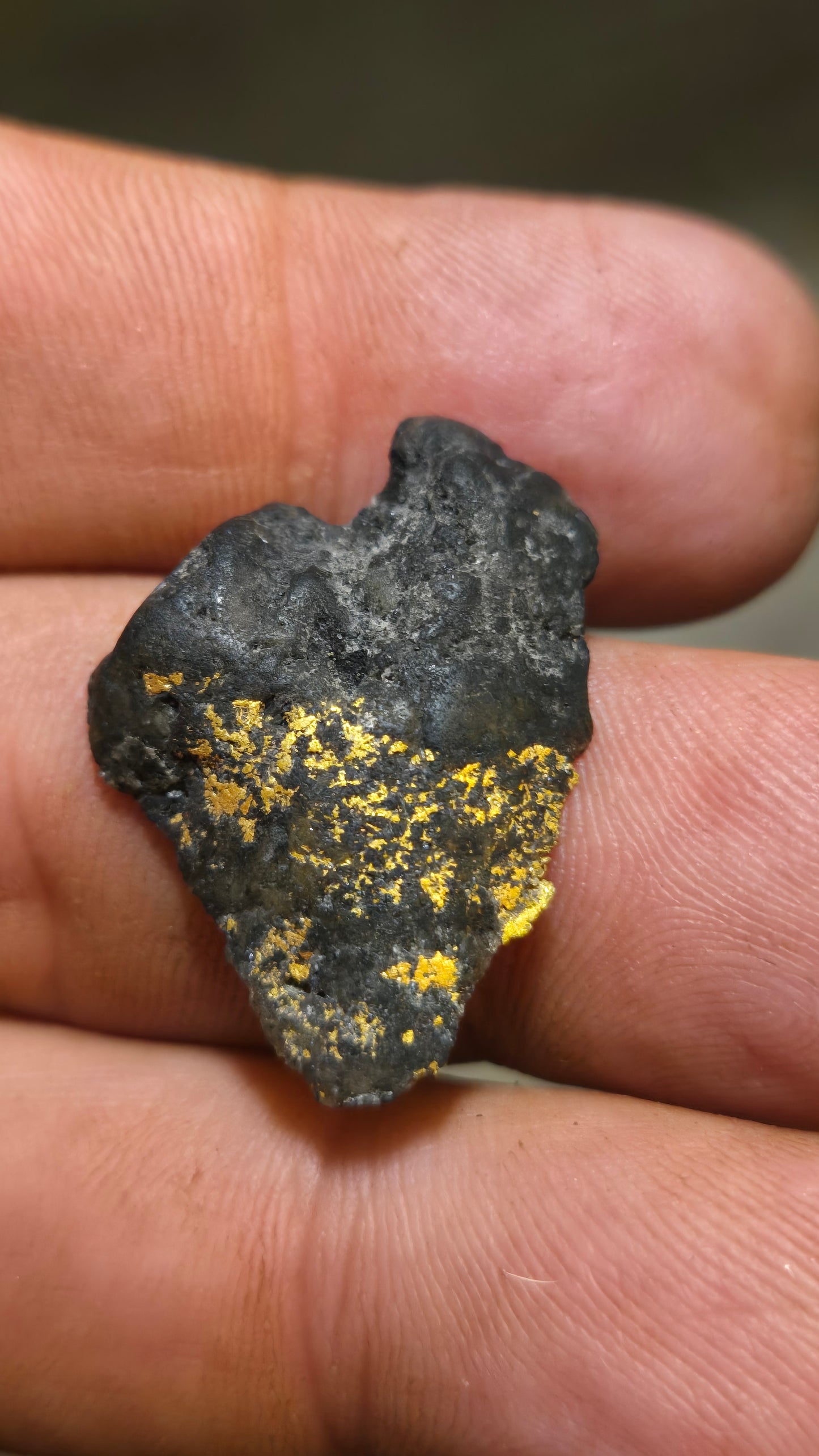 Black quartz and gold slab - 4.48 grams - 5.05 mm - end cut