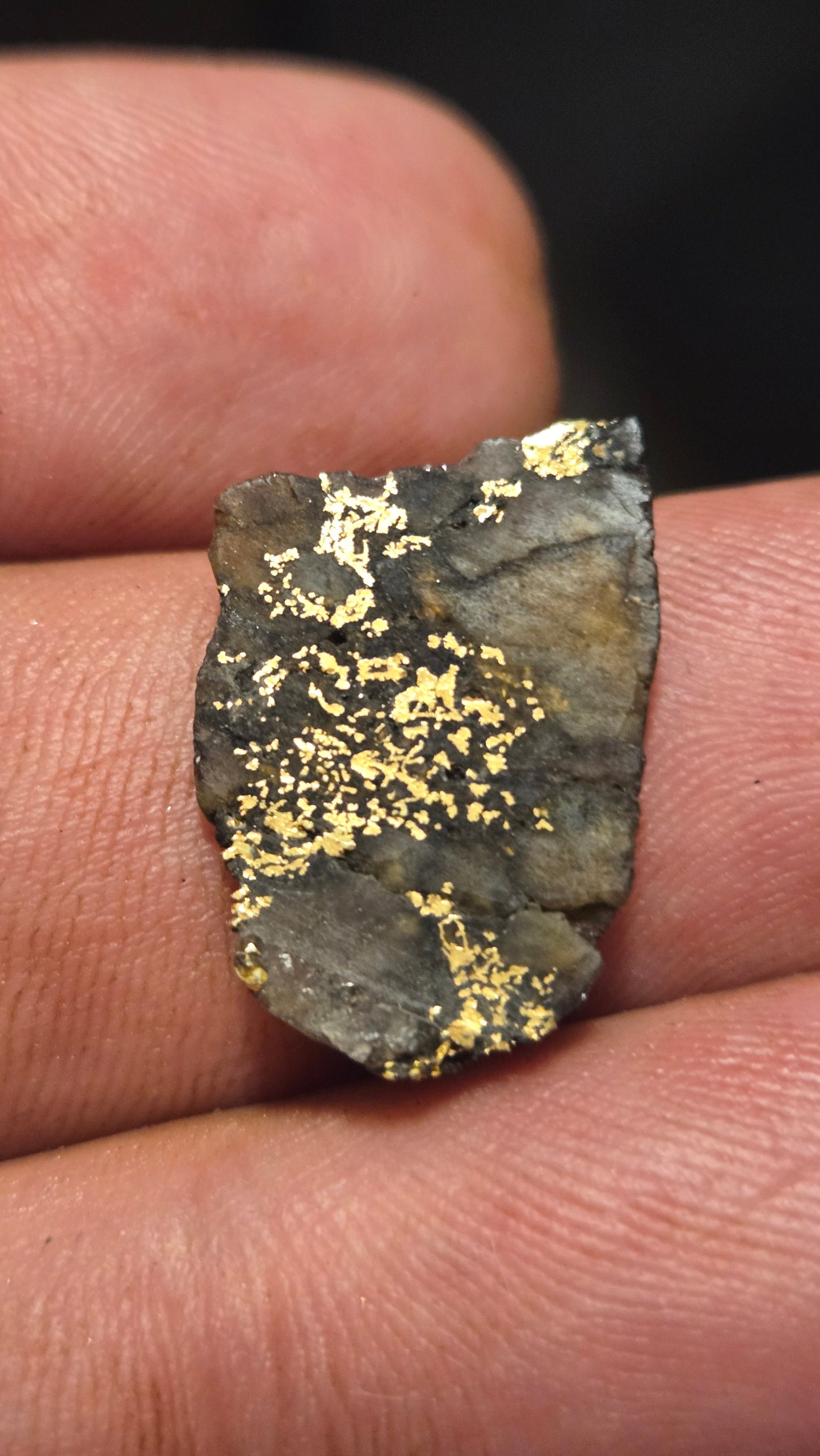 Black quartz and gold slab - 1.92 grams - 2.80 mm - end cut