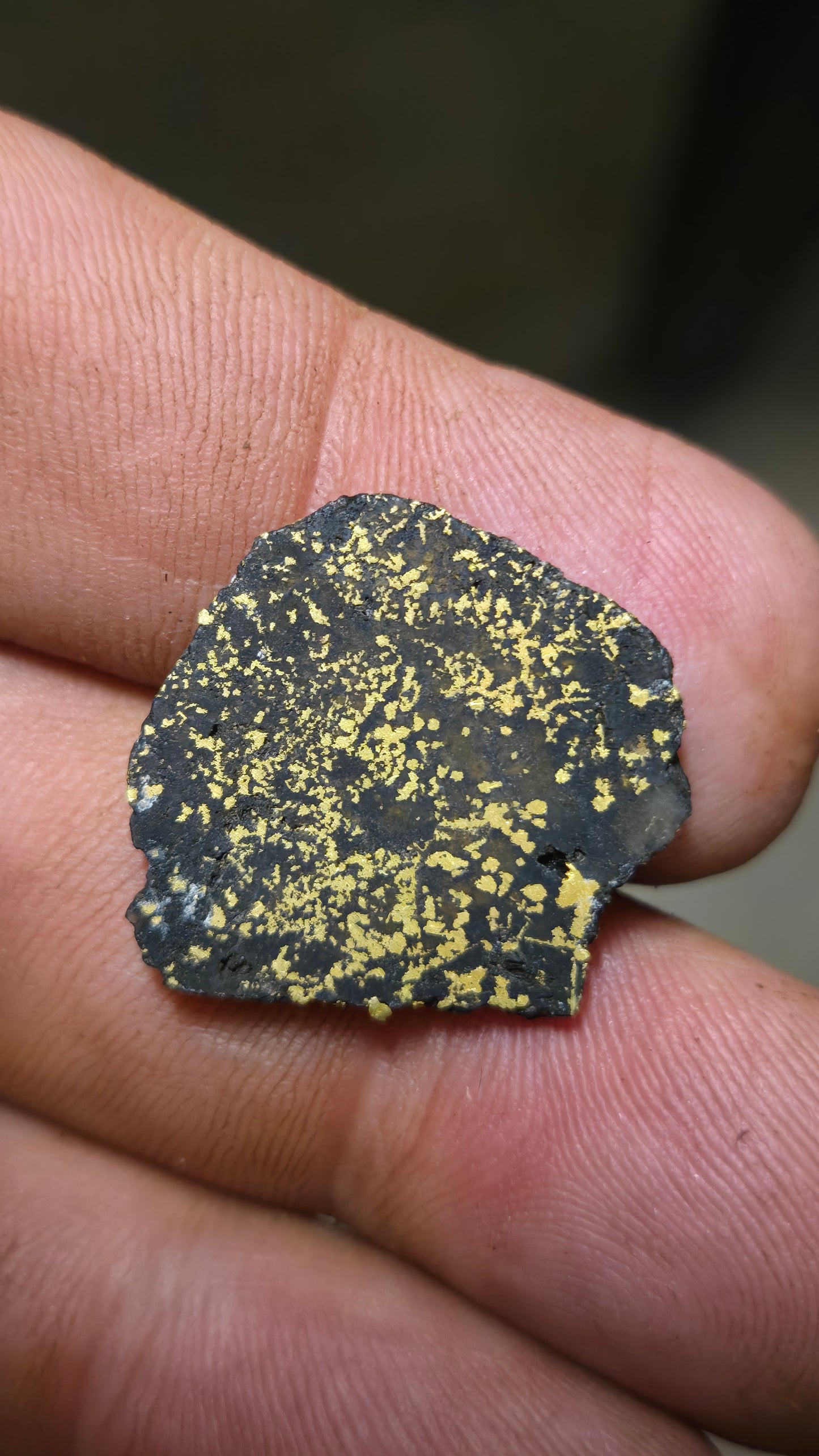 Black quartz and gold slab - 3.21 grams - 2.36 mm
