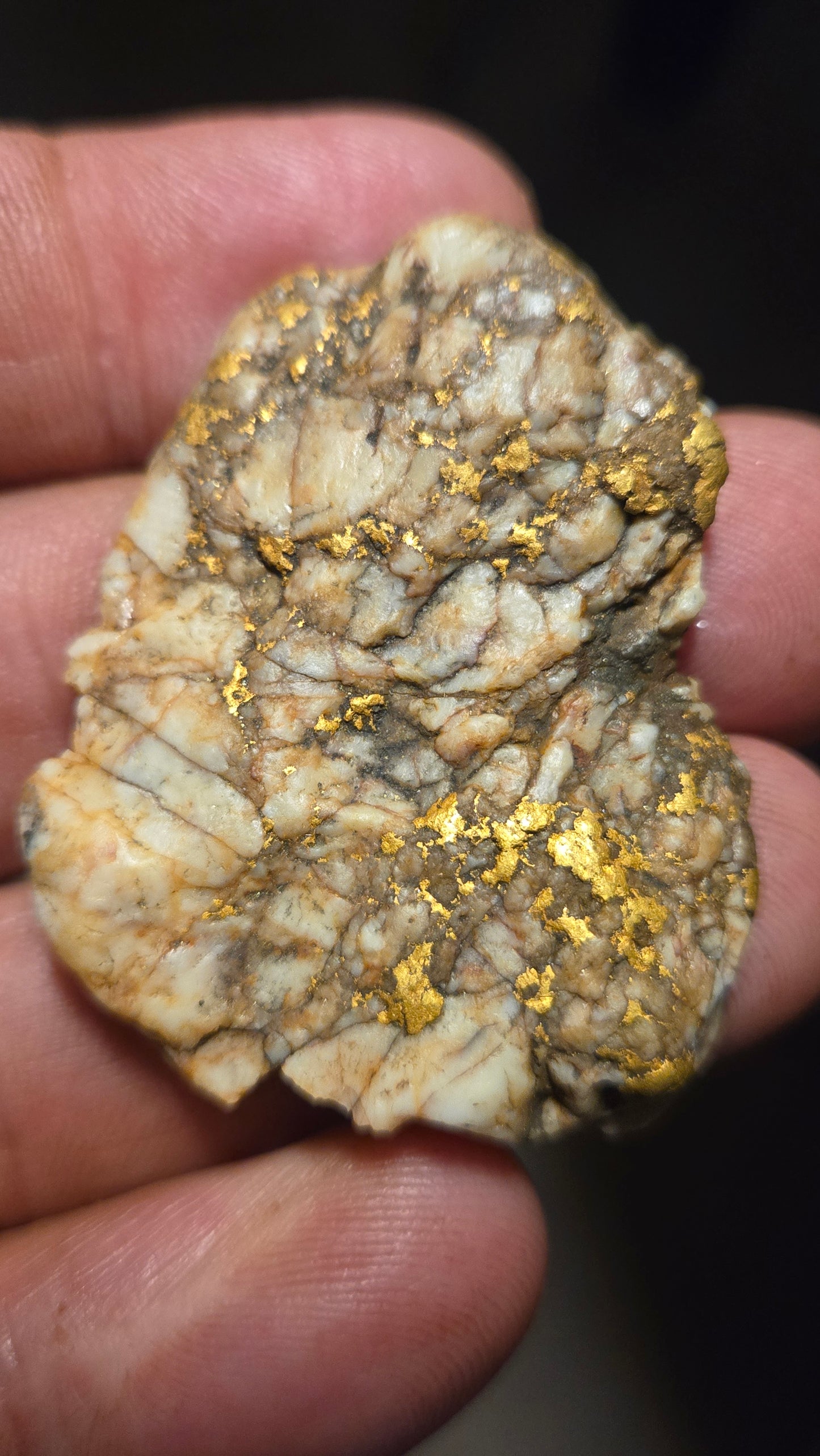 White quartz and gold slab - 23.32 grams - 5.72 mm - Mexico - end cut