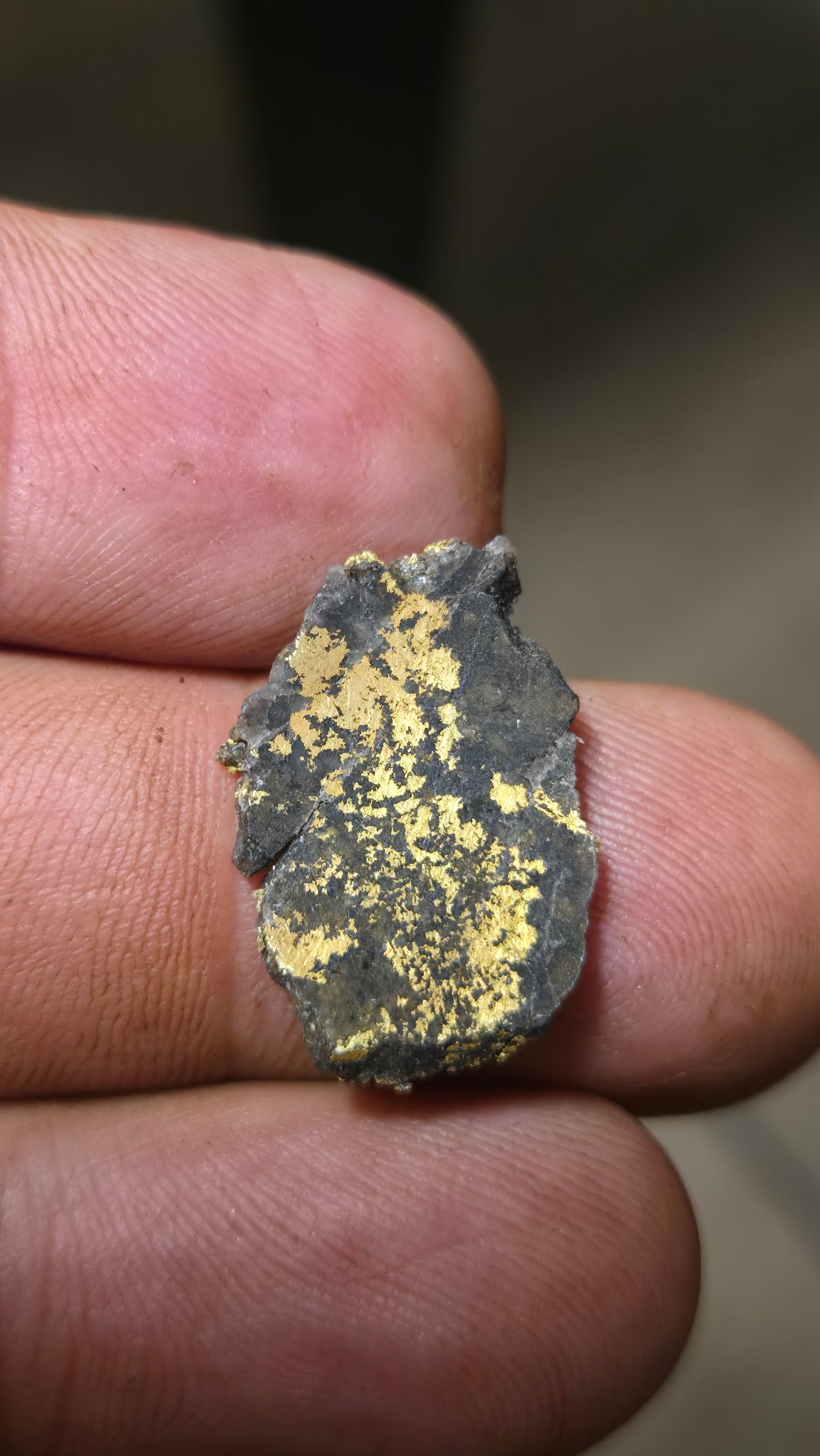 Black quartz and gold slab - 2.05 grams - 1.9 mm