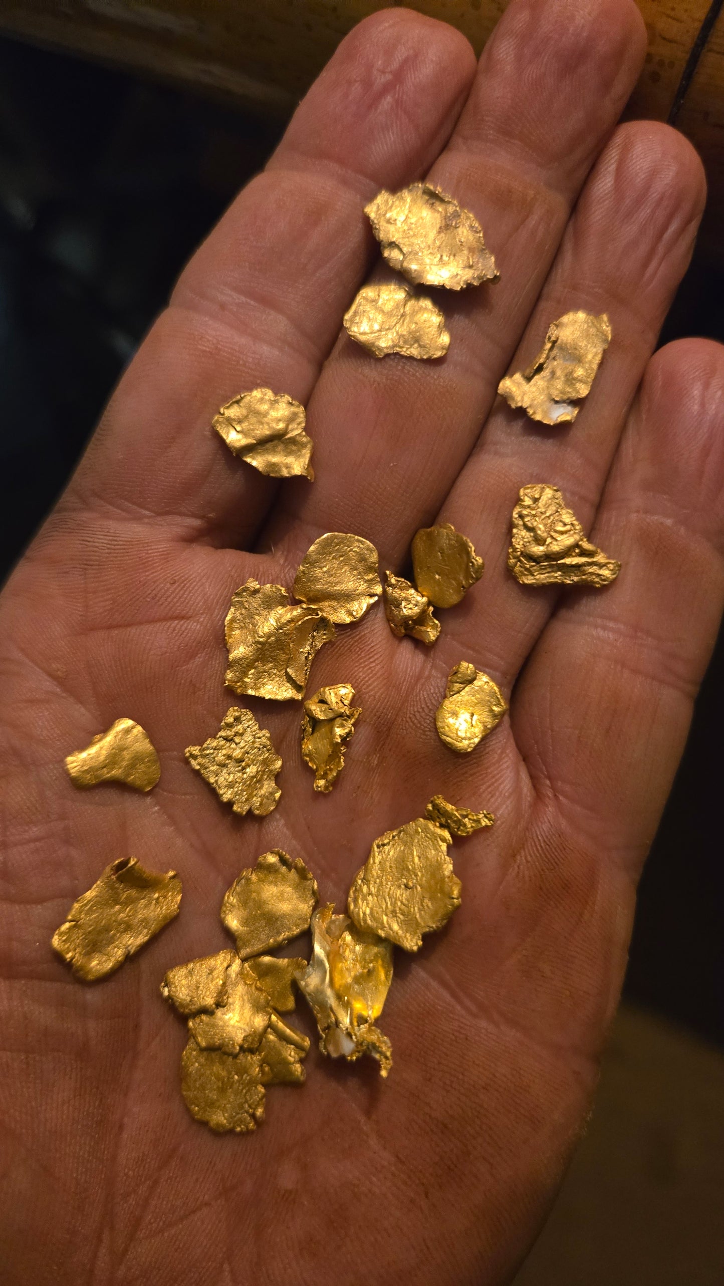 Folsom California leaf gold and big nuggets paydirt. Stunning 3 gram bag