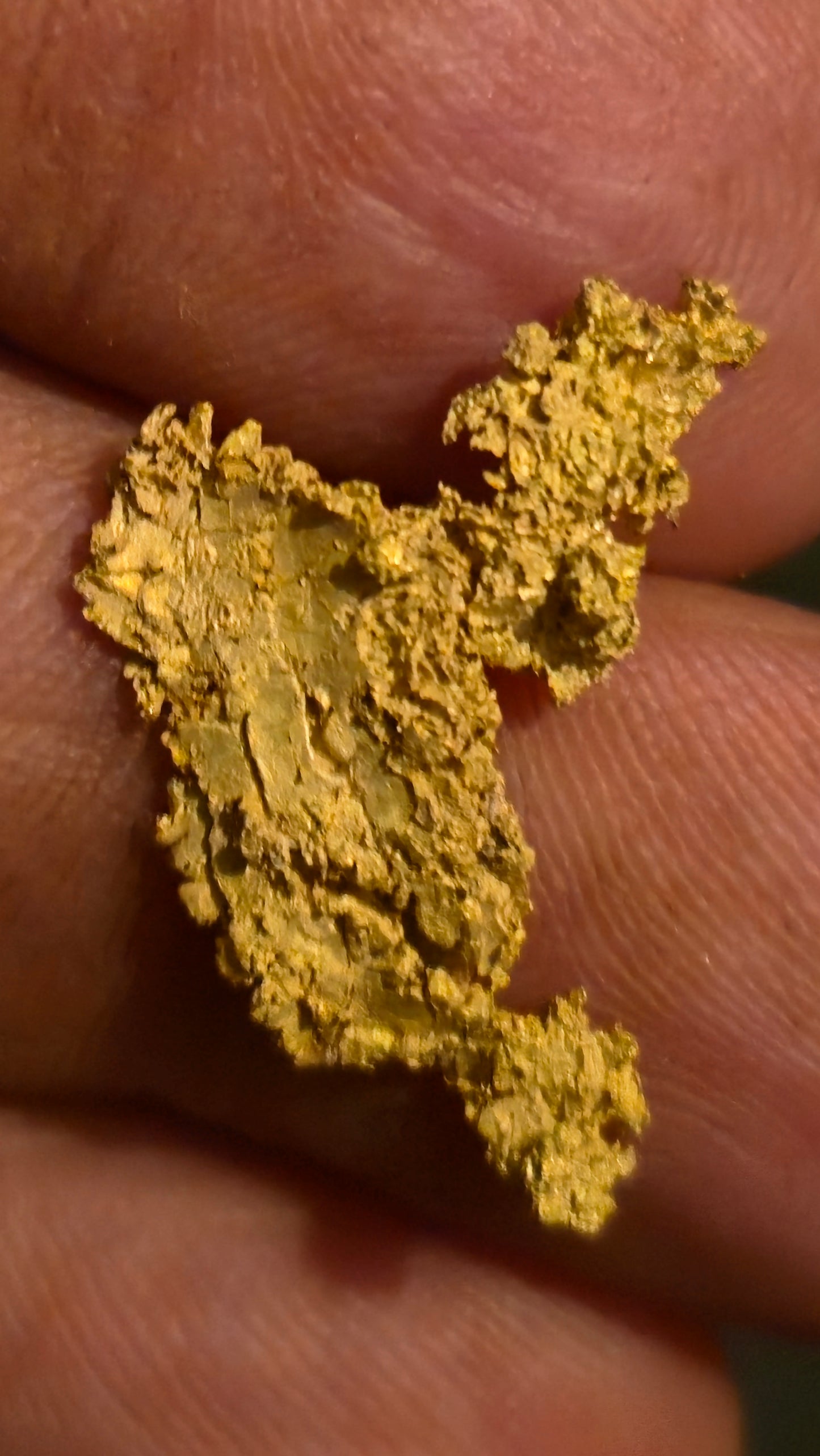 Museum-Quality Calaveras Crystalline Leaf Gold - 2.29 Gram Specimen