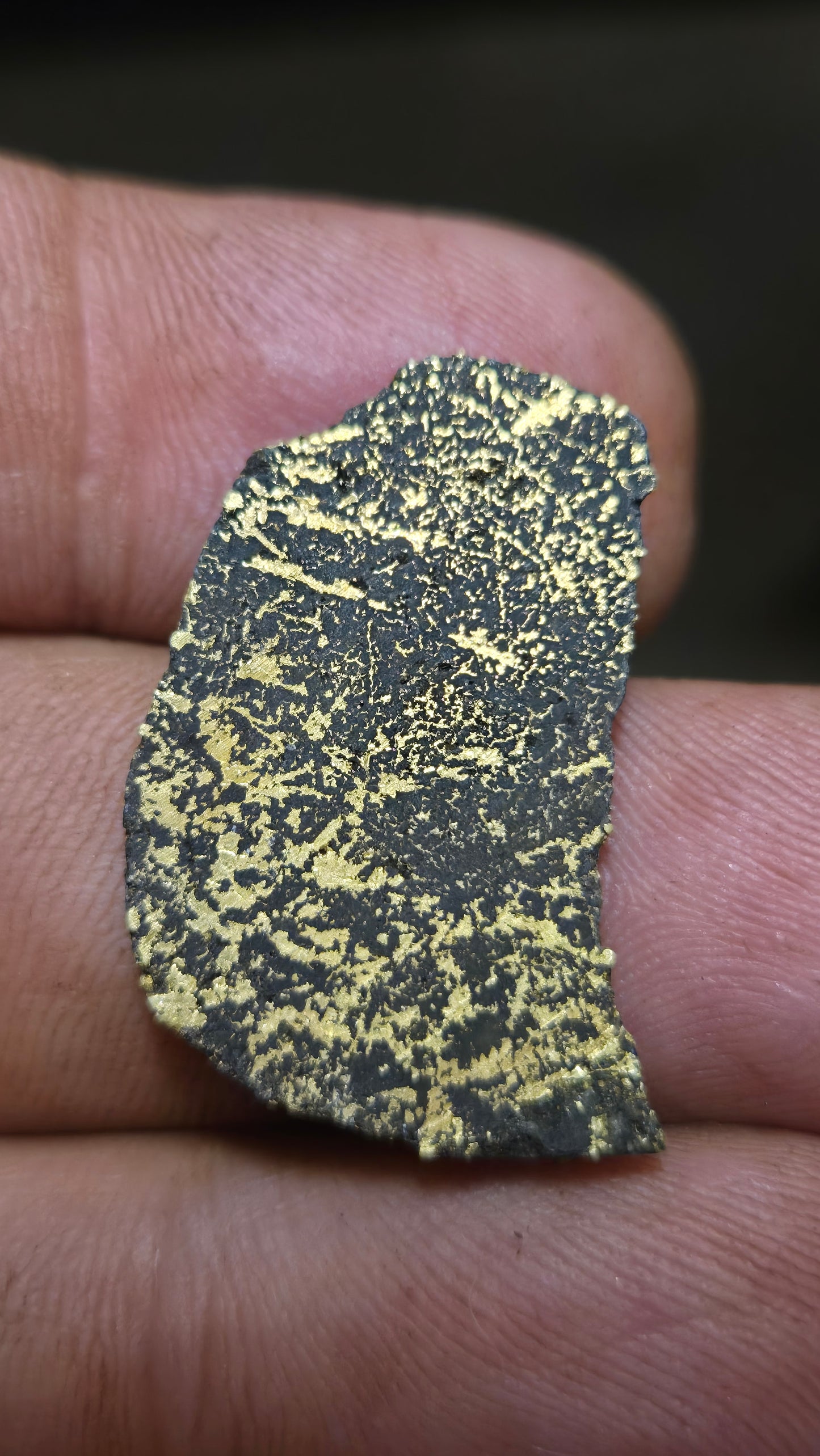 Black quartz and gold slab - 4.49 grams - 2.36 mm