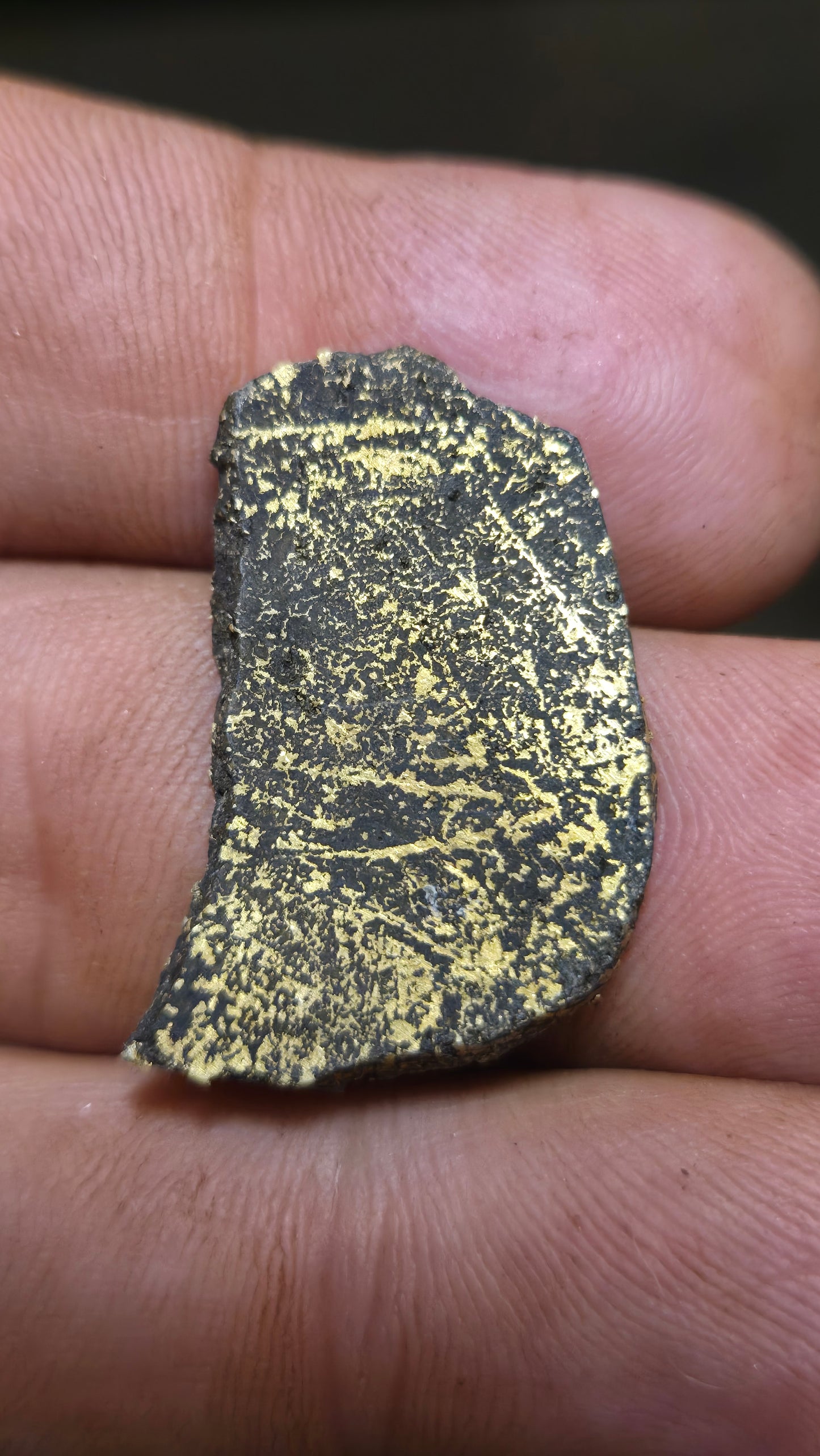 Black quartz and gold slab - 4.49 grams - 2.36 mm