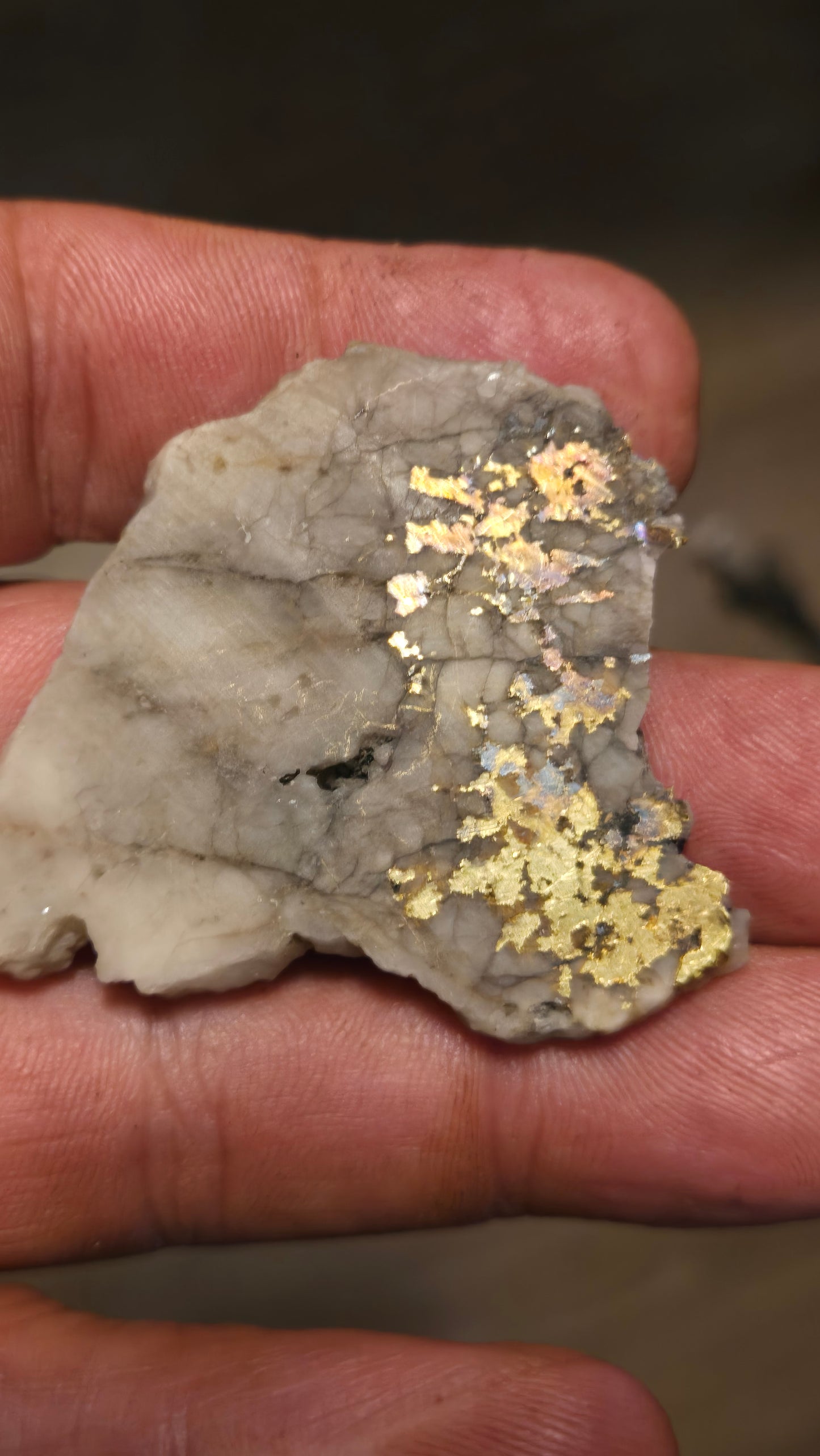 White quartz and gold slab - 23.31 grams - 4.04 mm - Mexico
