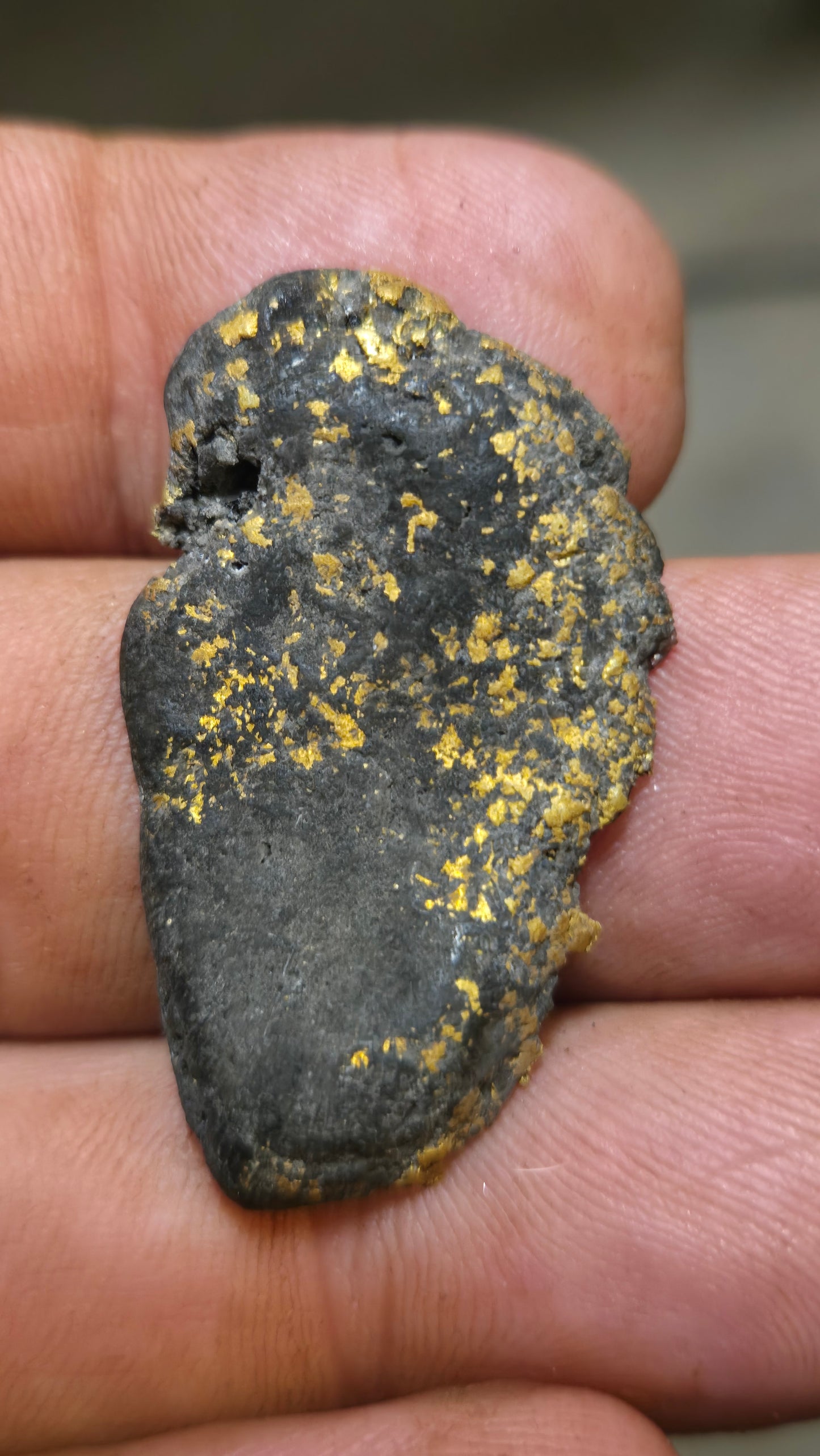 Black quartz and gold slab - 8.62 grams - 5.30 mm - end cut