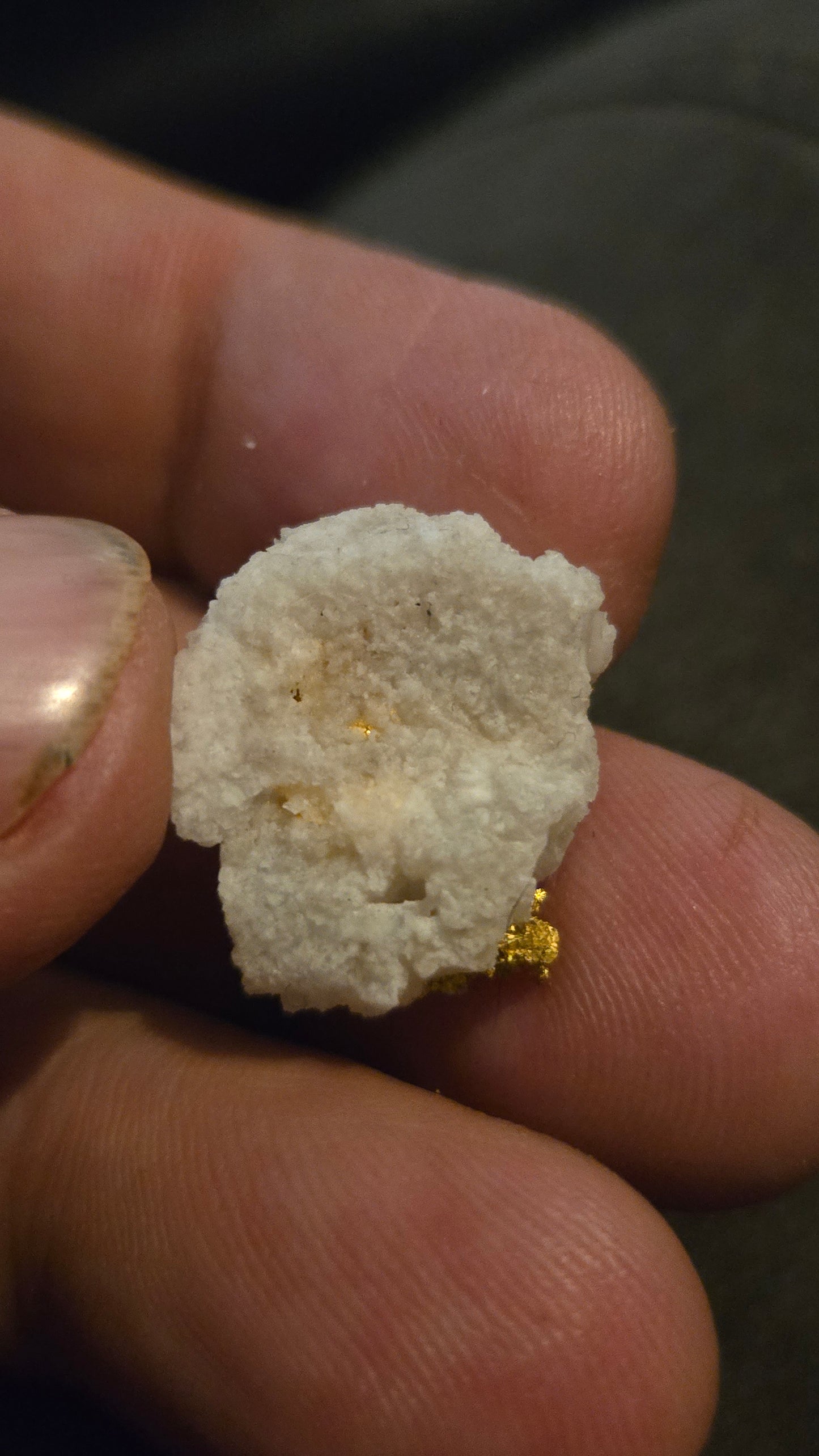Self collected 4.71 grams gold and quartz from Californias Motherlode Vein