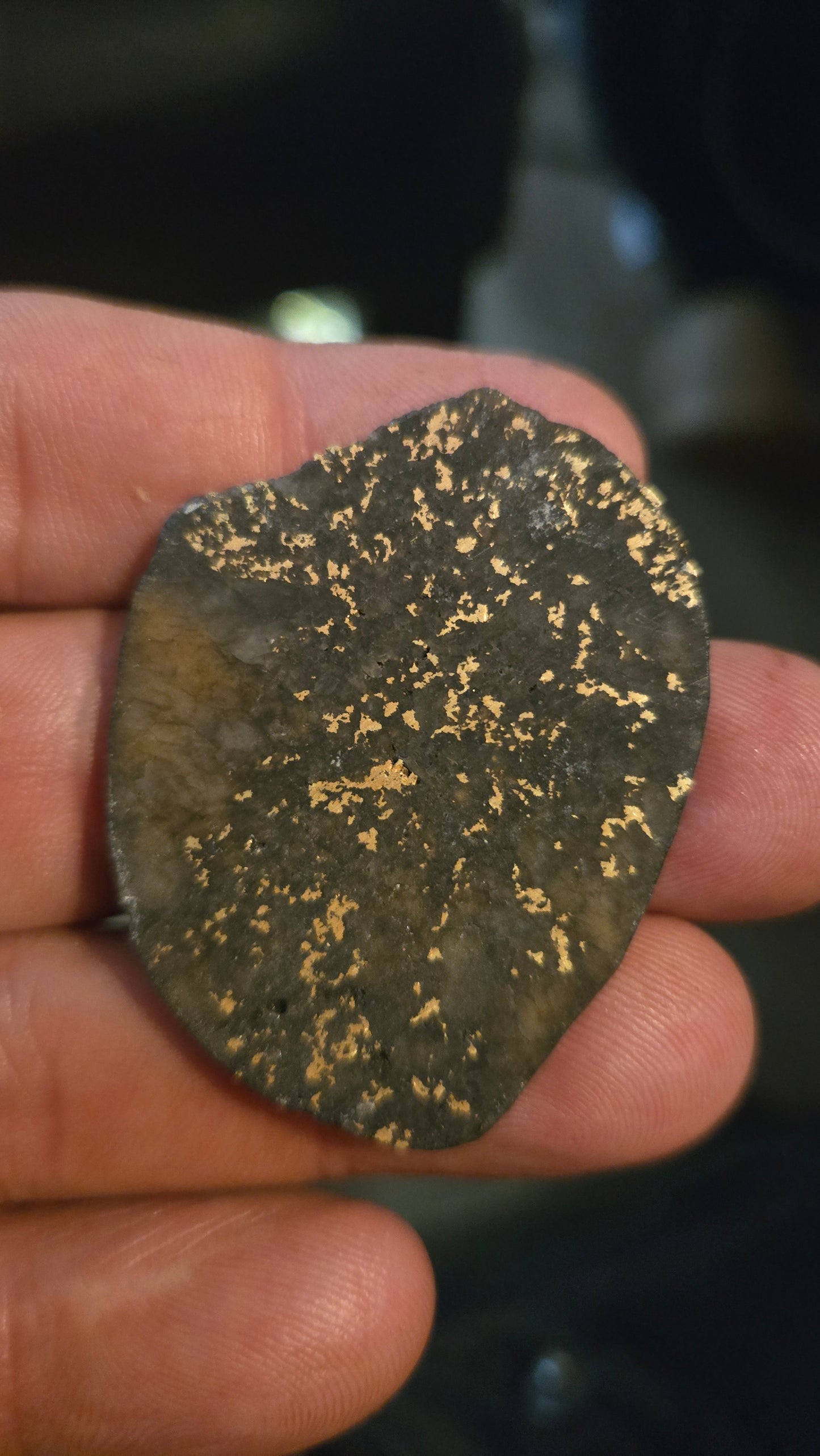 Oregon Gold-in-Quartz Slab - Chemically Enhanced Black Matrix 13.69 grams