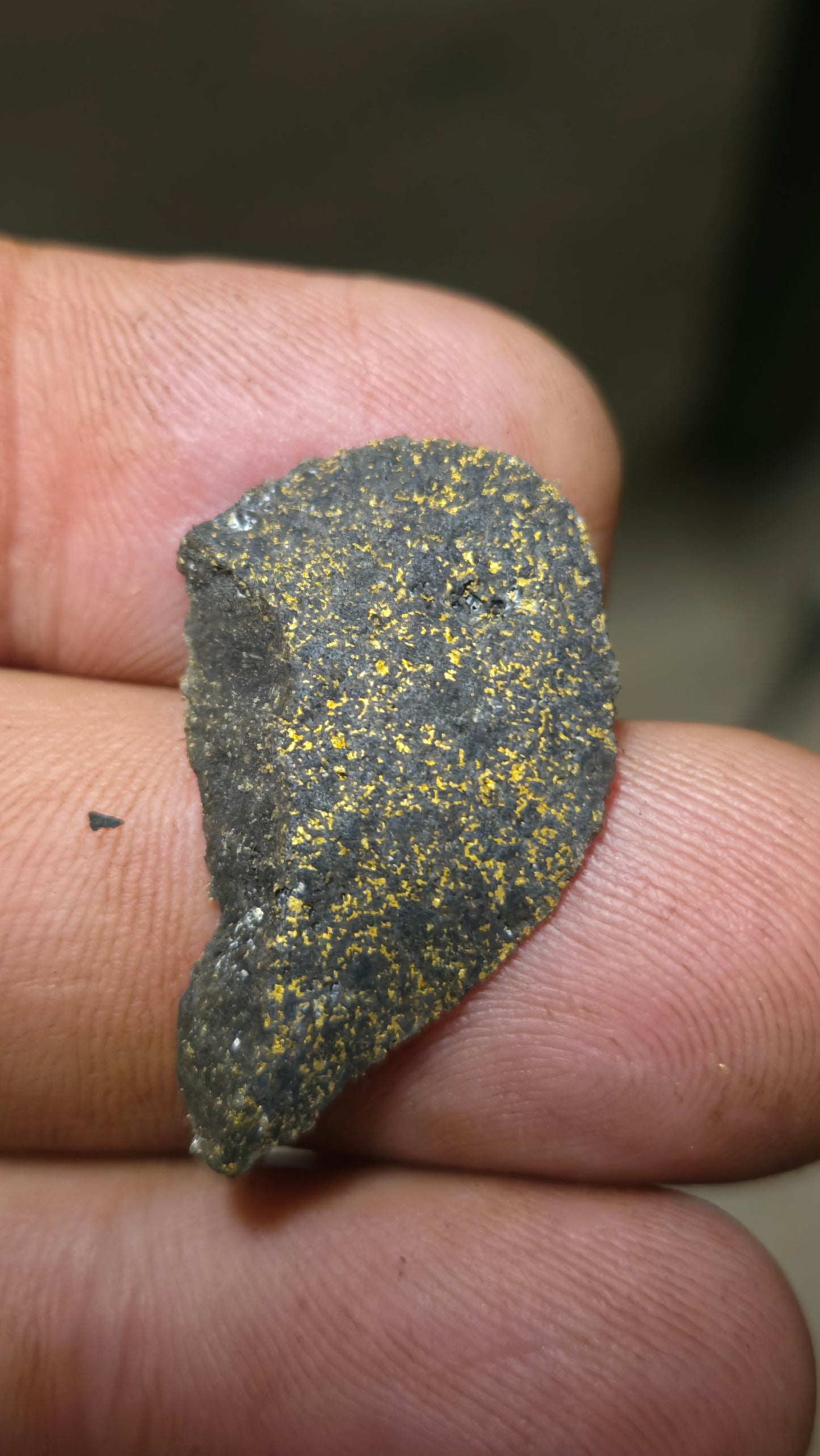 Black quartz and gold slab - 3.88 grams - 2.74 mm - end cut