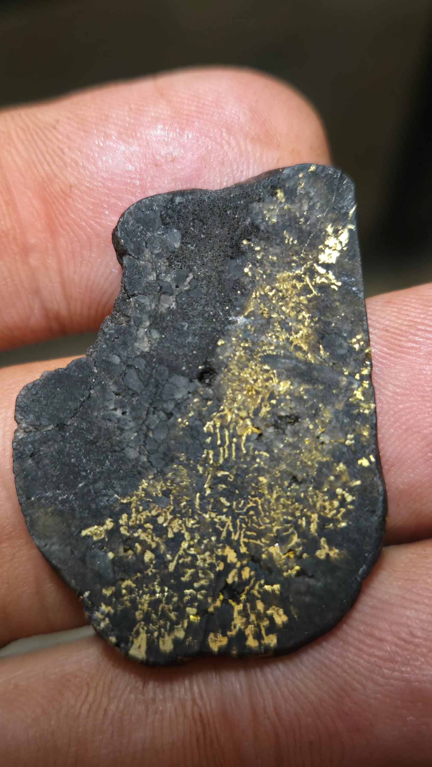 Black quartz and gold slab - 5.49 grams - 2.37mm