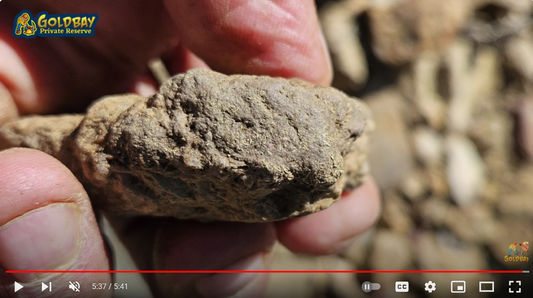 Beginner's Luck: Friend Finds Massive Gold Specimen on First Metal Detecting Trip