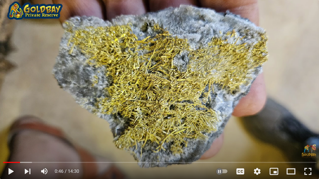 Cheech and Chong Vibes: Reacting to Rare and Unique Gold Specimens with Larry