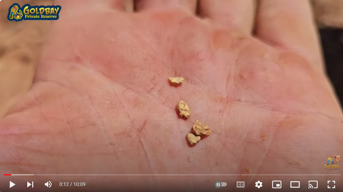 Tiny Treasures: Minelab GPZ 7000 Uncovers Micro gold Nuggets on Mother's Day