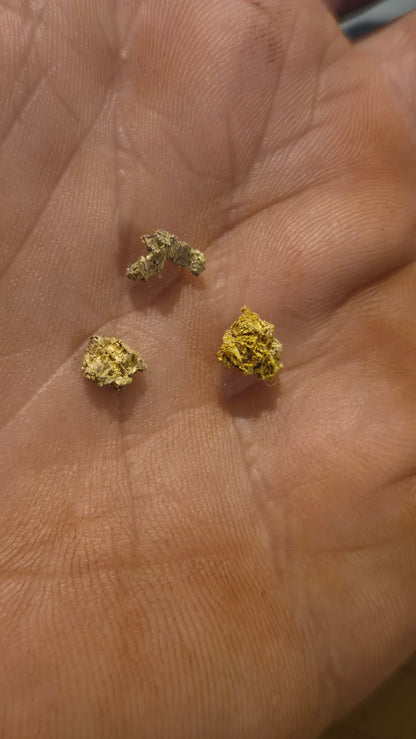 New Motherlode main vein Hardrock unsearched Paydirt - Gold added