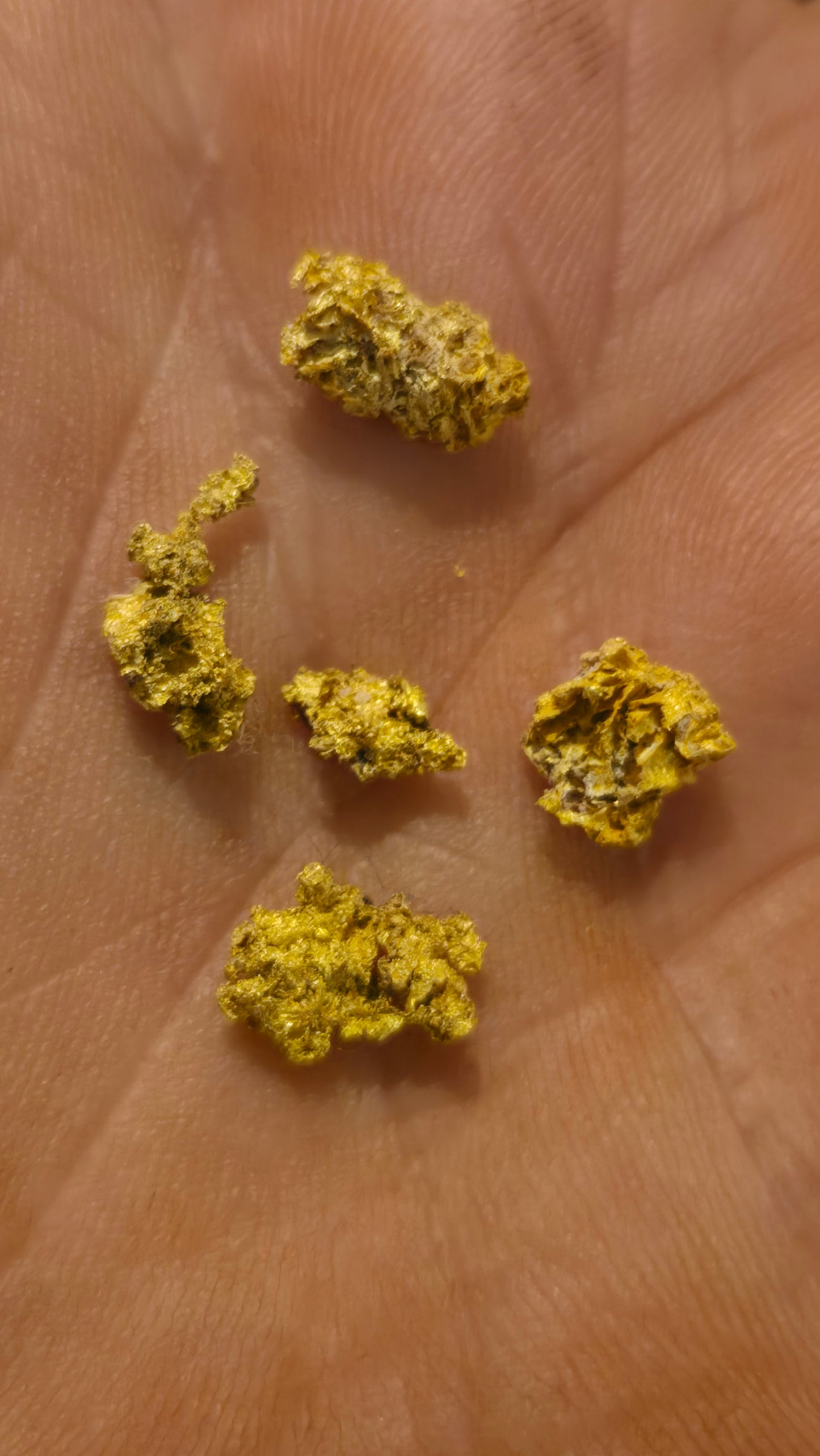 New Motherlode main vein Hardrock unsearched Paydirt - Gold added