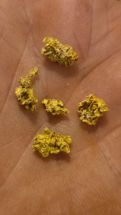 New Motherlode main vein Hardrock unsearched Paydirt - Gold added