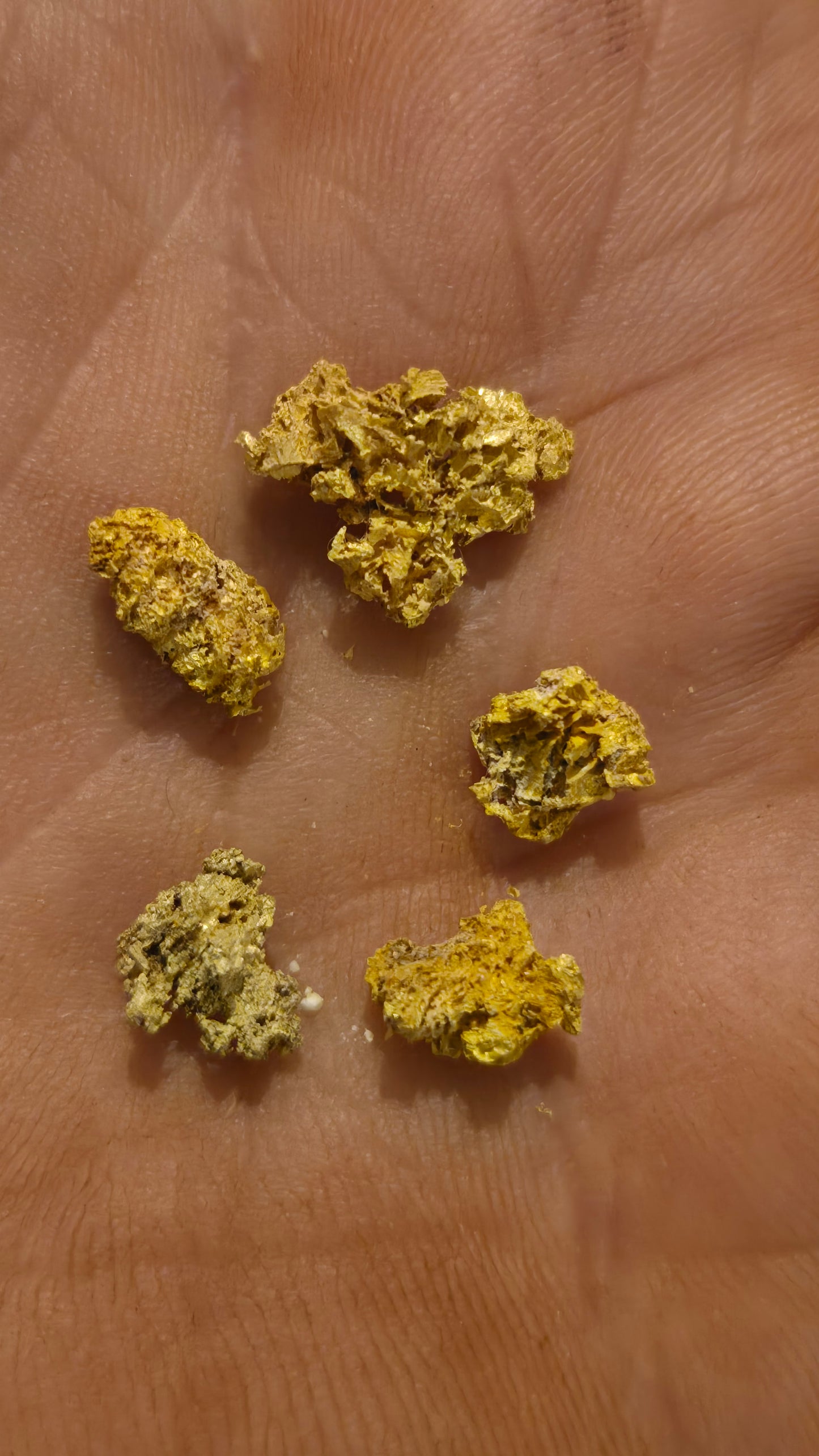 New Motherlode main vein Hardrock unsearched Paydirt - Gold added