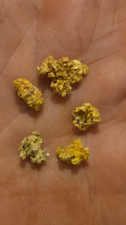 New Motherlode main vein Hardrock unsearched Paydirt - Gold added