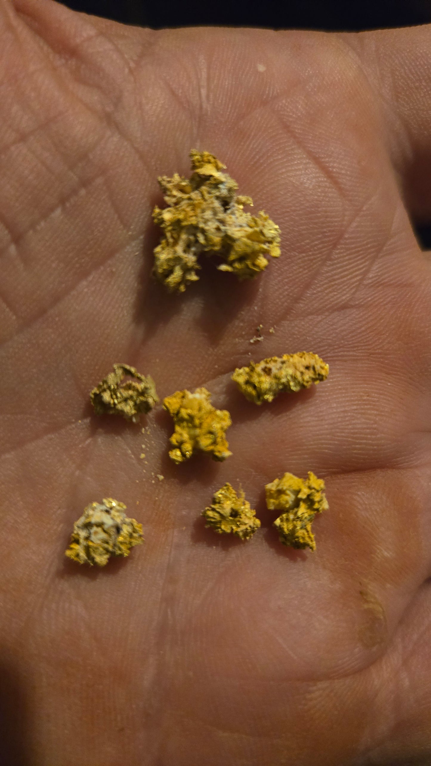 New Motherlode main vein Hardrock unsearched Paydirt - Gold added