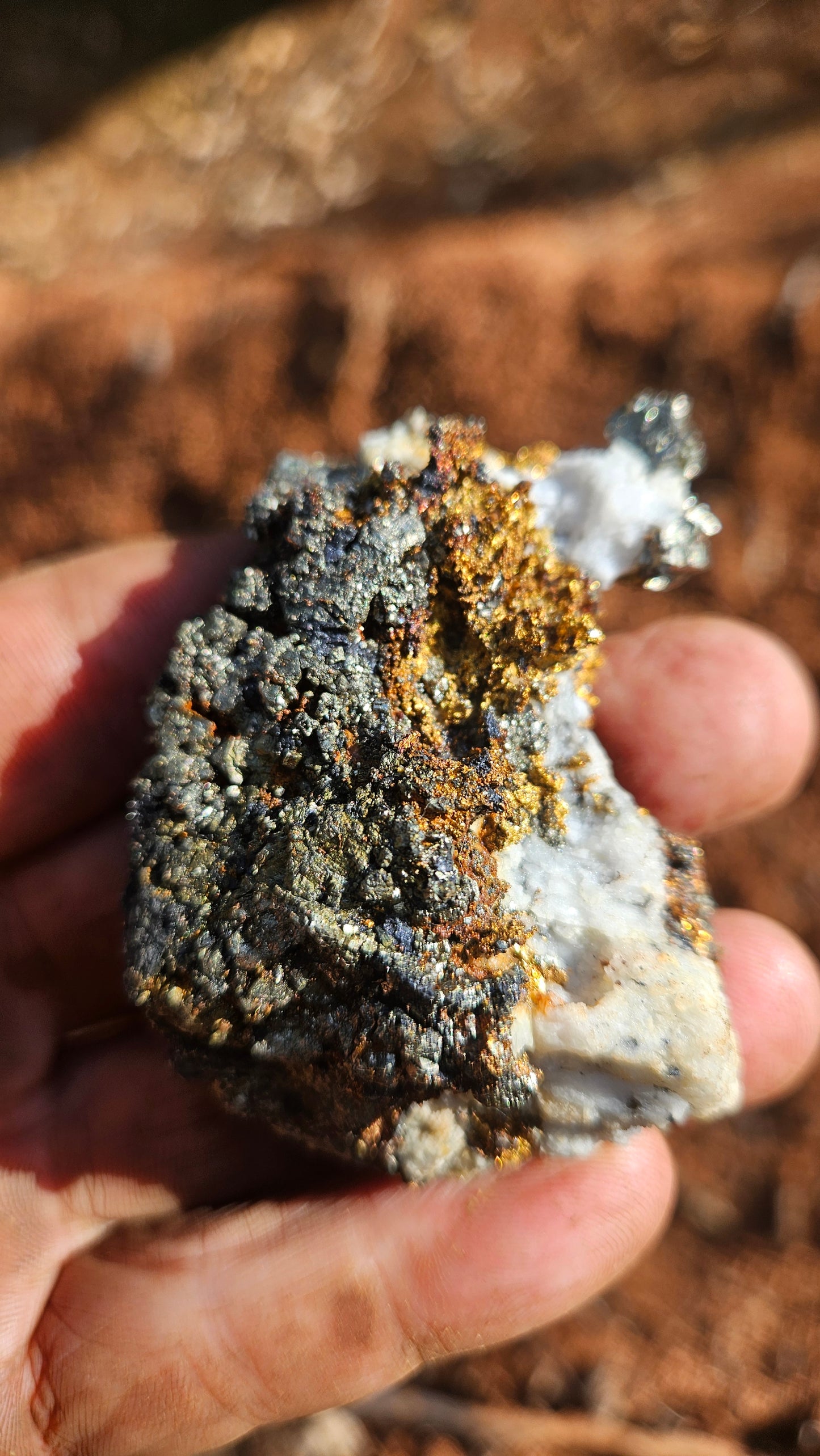 Huge ultra rare gold with fools gold (pyrite) on quartz. Ultra rare