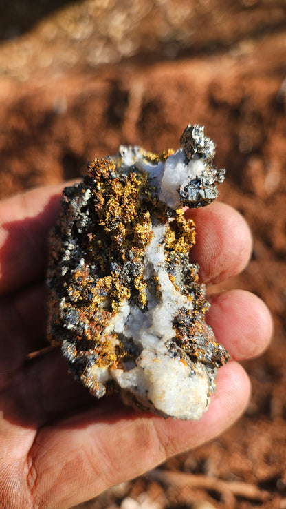 Huge ultra rare gold with fools gold (pyrite) on quartz. Ultra rare